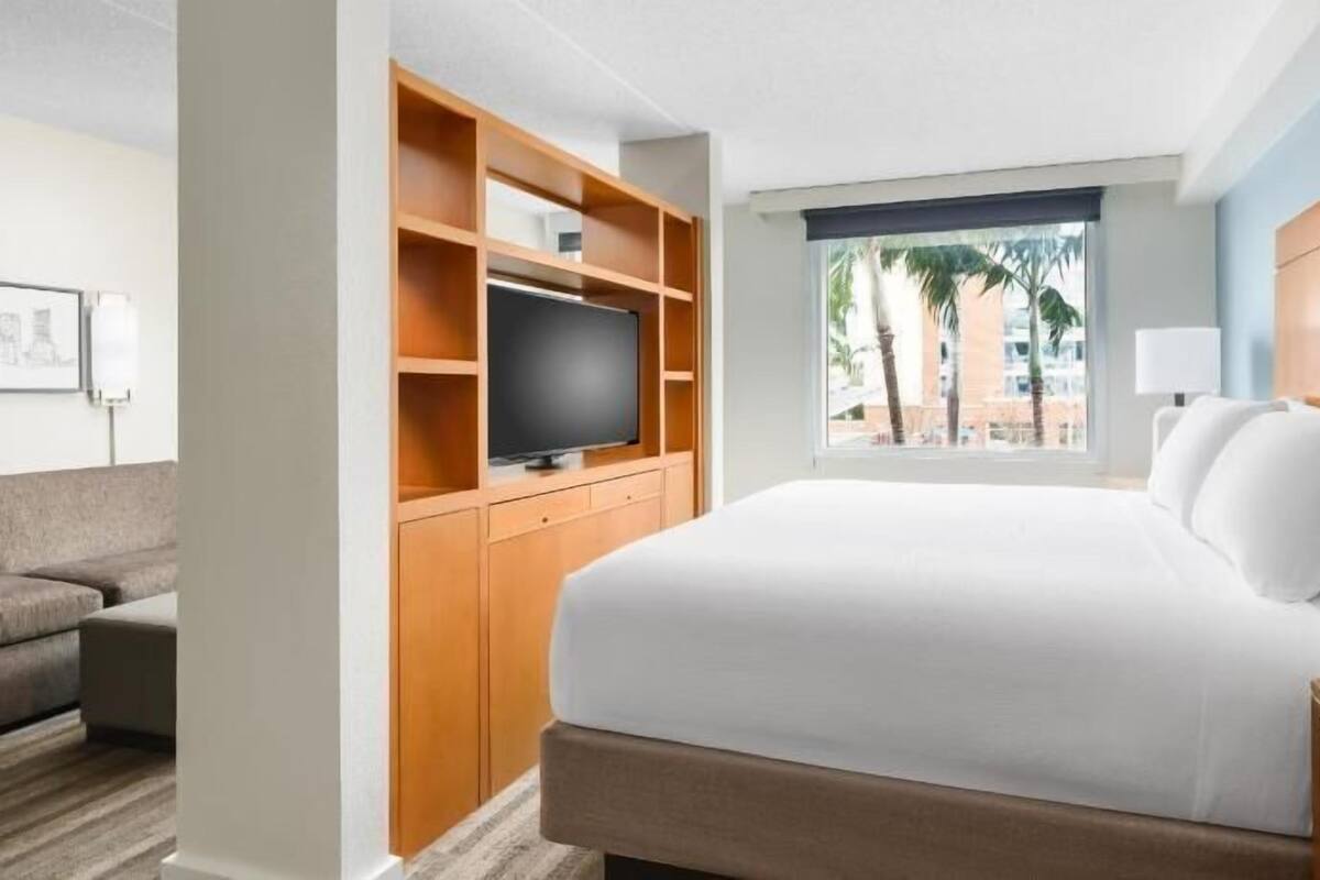 Une chambre d’hôtel équipée d’un lit, d’une télévision, d’un bureau, d’une chaise et d’une fenêtre donnant sur des palmiers.