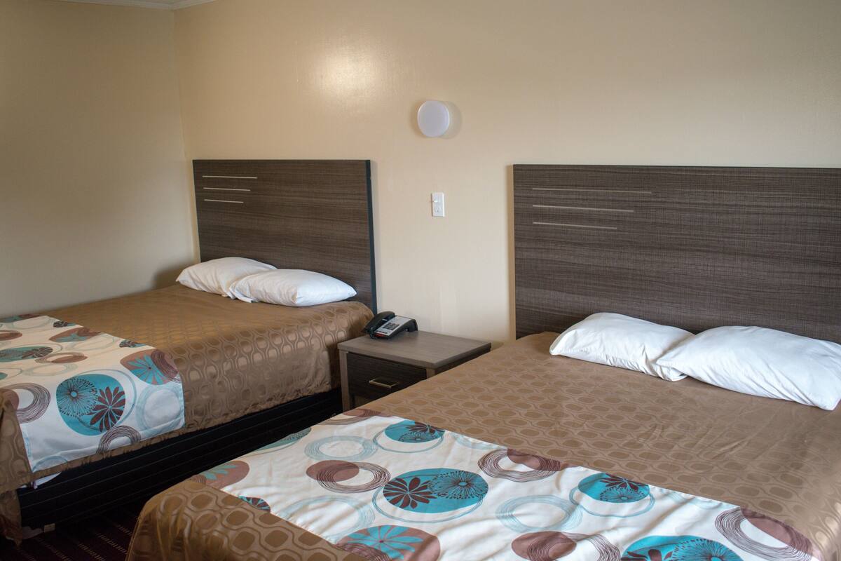 Two single beds with headboards, a bedside table with a phone, and a wall-mounted light fixture.