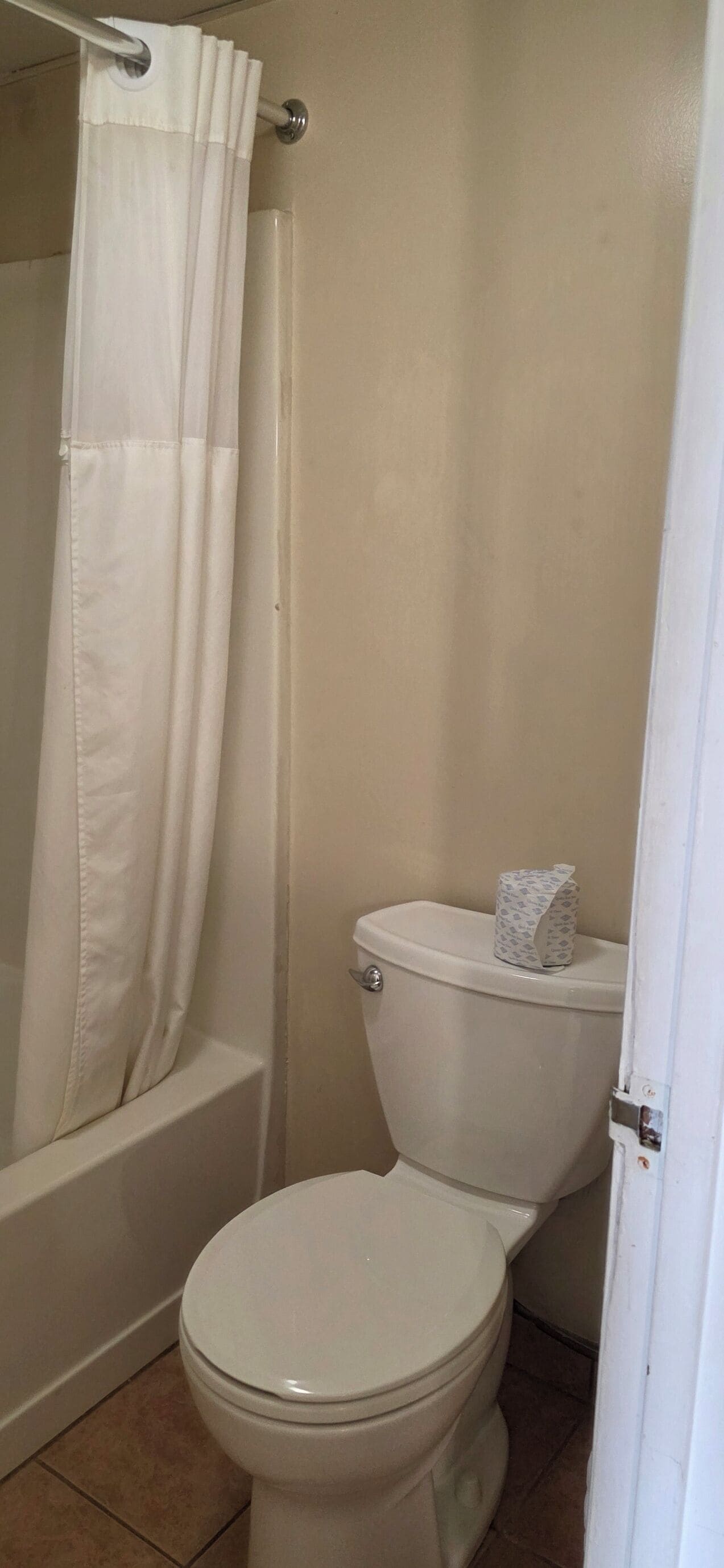 A bathroom with a toilet, a shower curtain, and a toilet paper holder.