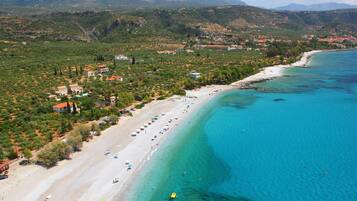 Camastros y vóleibol de playa