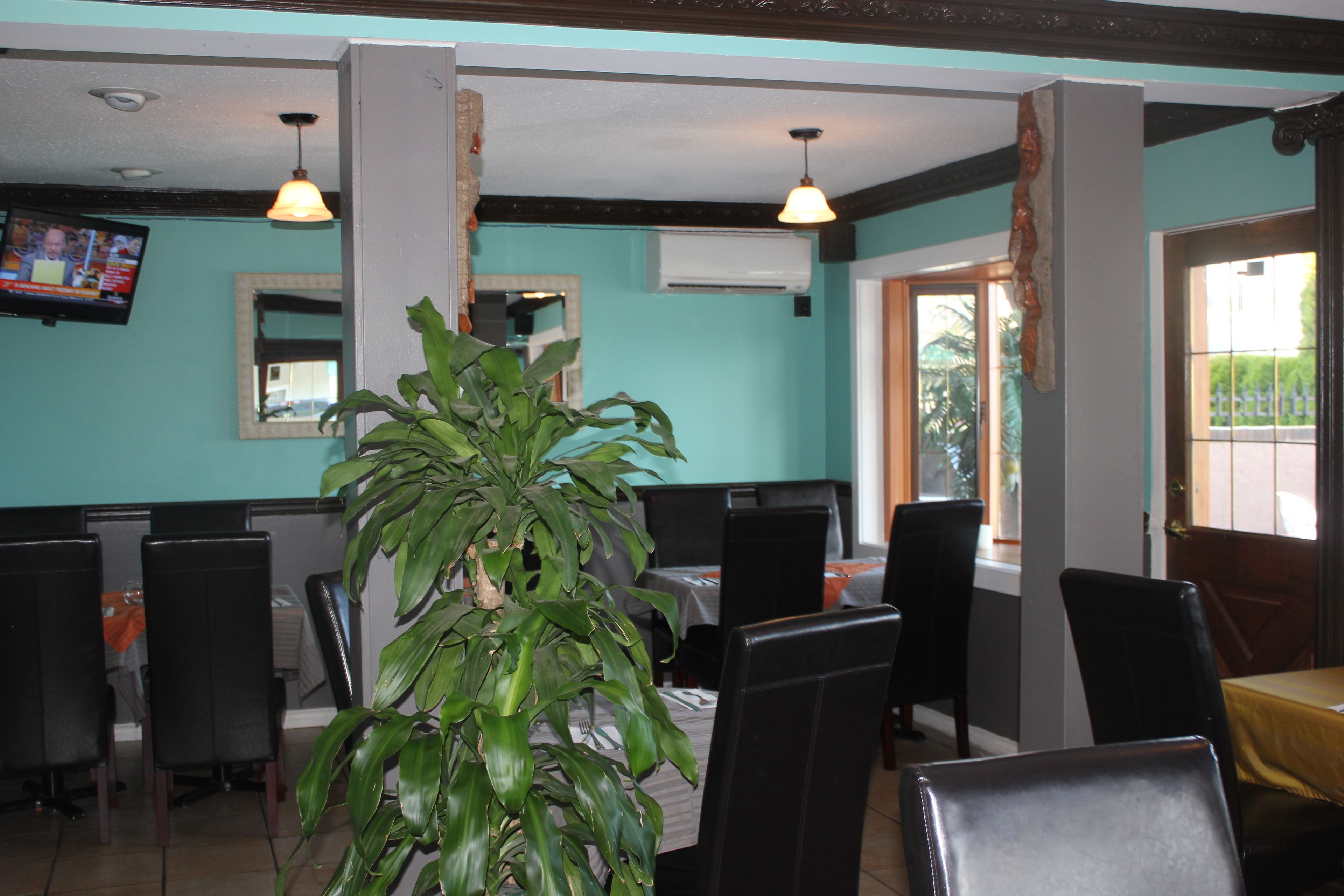 A restaurant with teal walls, black leather chairs, and a large potted plant.