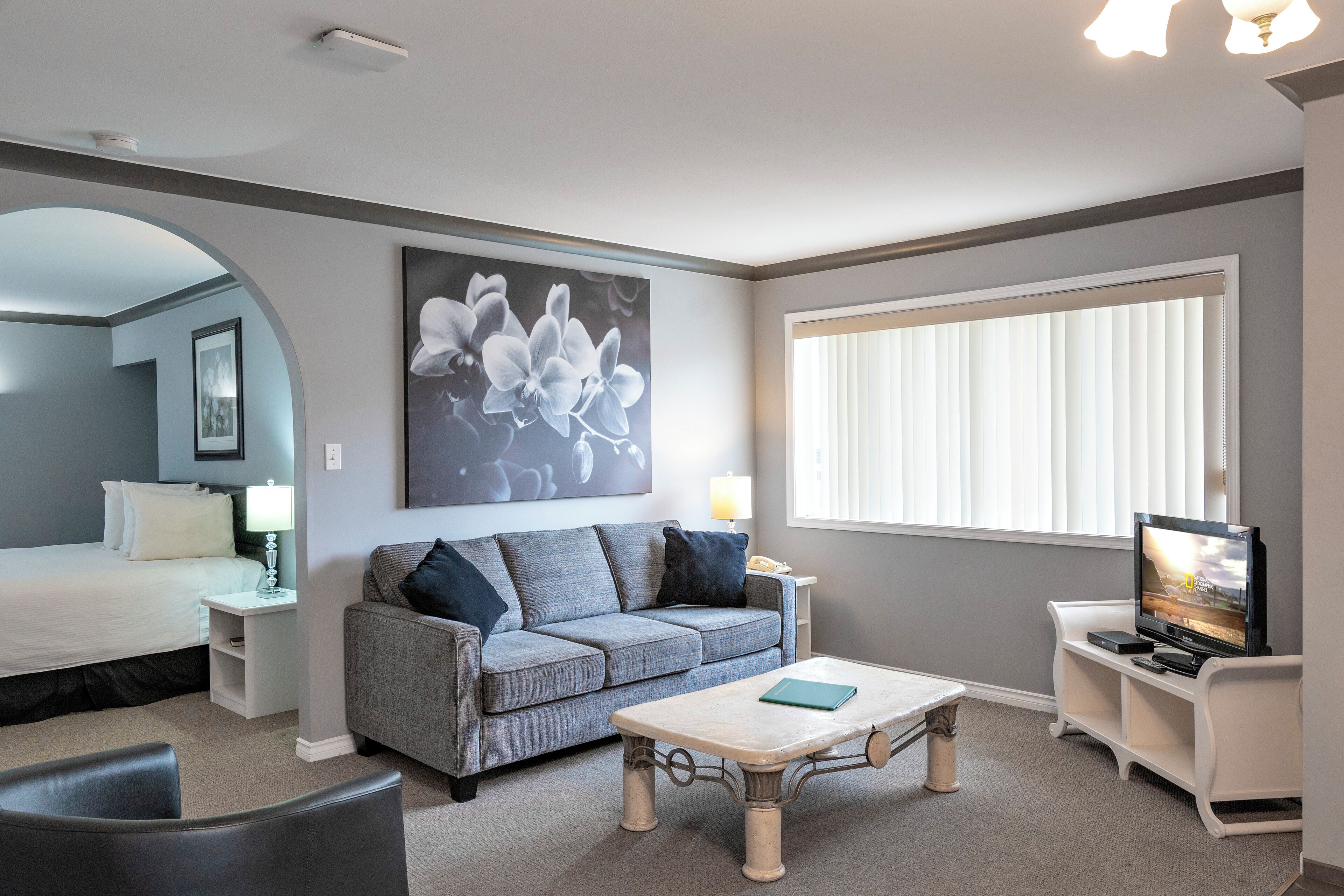 Televisión de pantalla plana