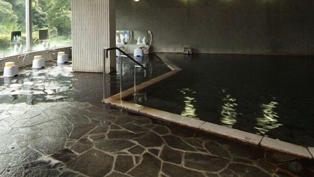 An indoor swimming pool with stone flooring, a wooden pool edge, and a glass wall with a view of greenery. - Ootaki Hotel (Yugawara)