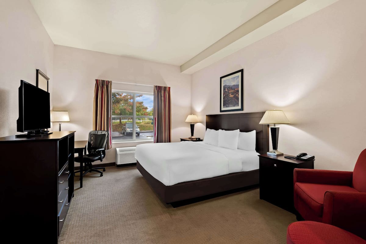 Standard Room, 1 King Bed, Non Smoking