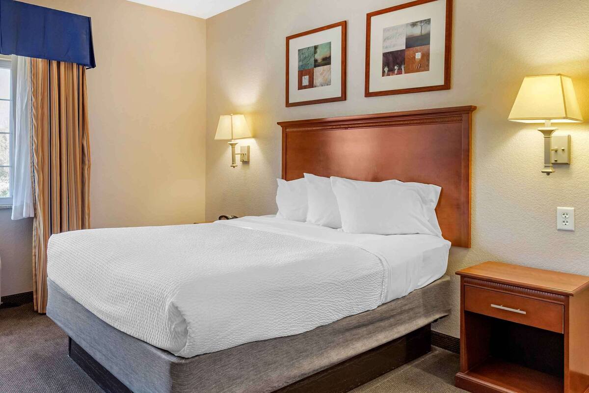 Standard Studio, 1 Queen Bed, Non Smoking, Refrigerator & Microwave | Desk, laptop workspace, blackout curtains, iron/ironing board