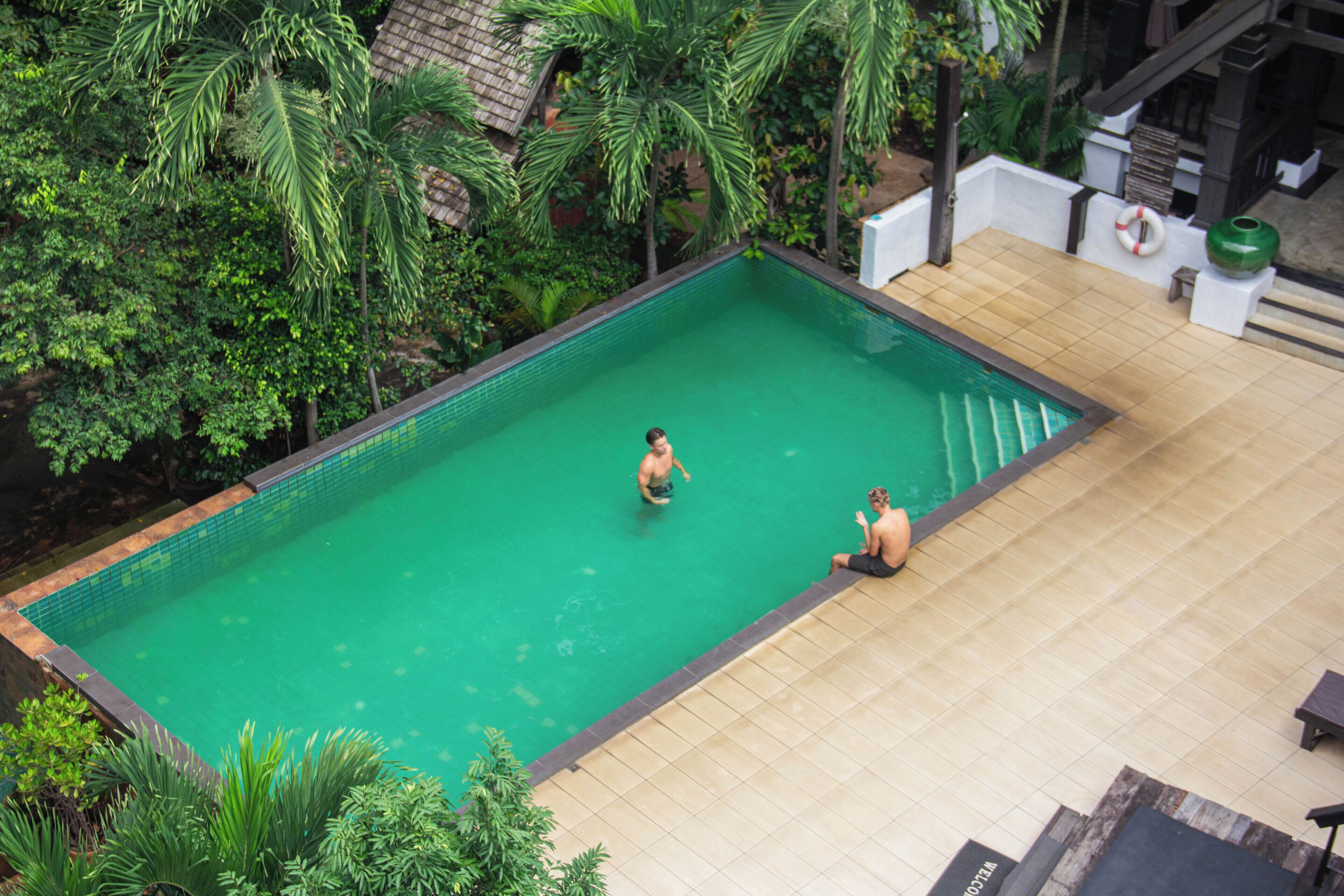 An outdoor swimming pool surrounded by lush greenery.
