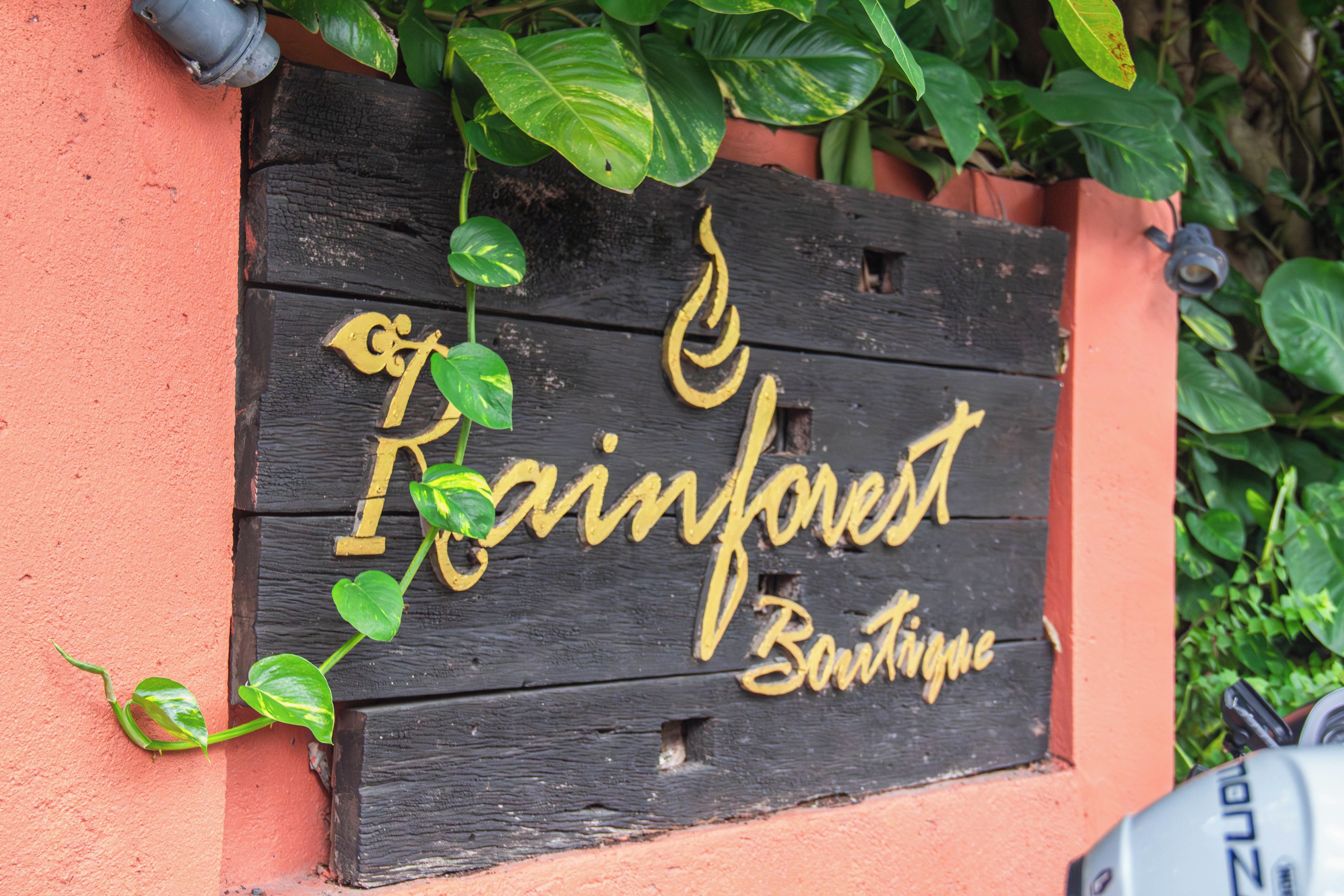 Photo - Rainforest Chiangmai Hotel