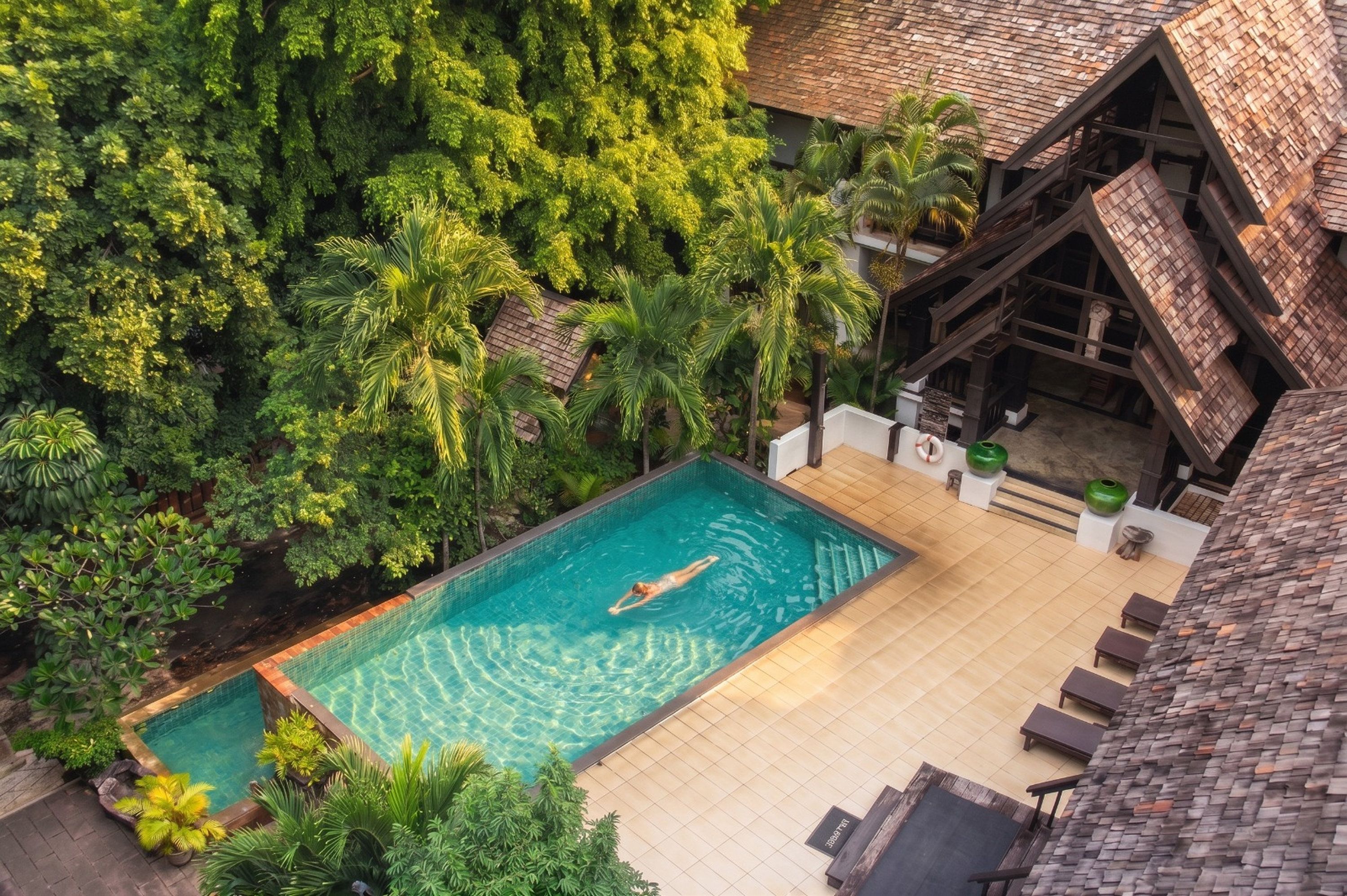 A swimming pool surrounded by lush greenery, with a wooden deck and lounge chairs.