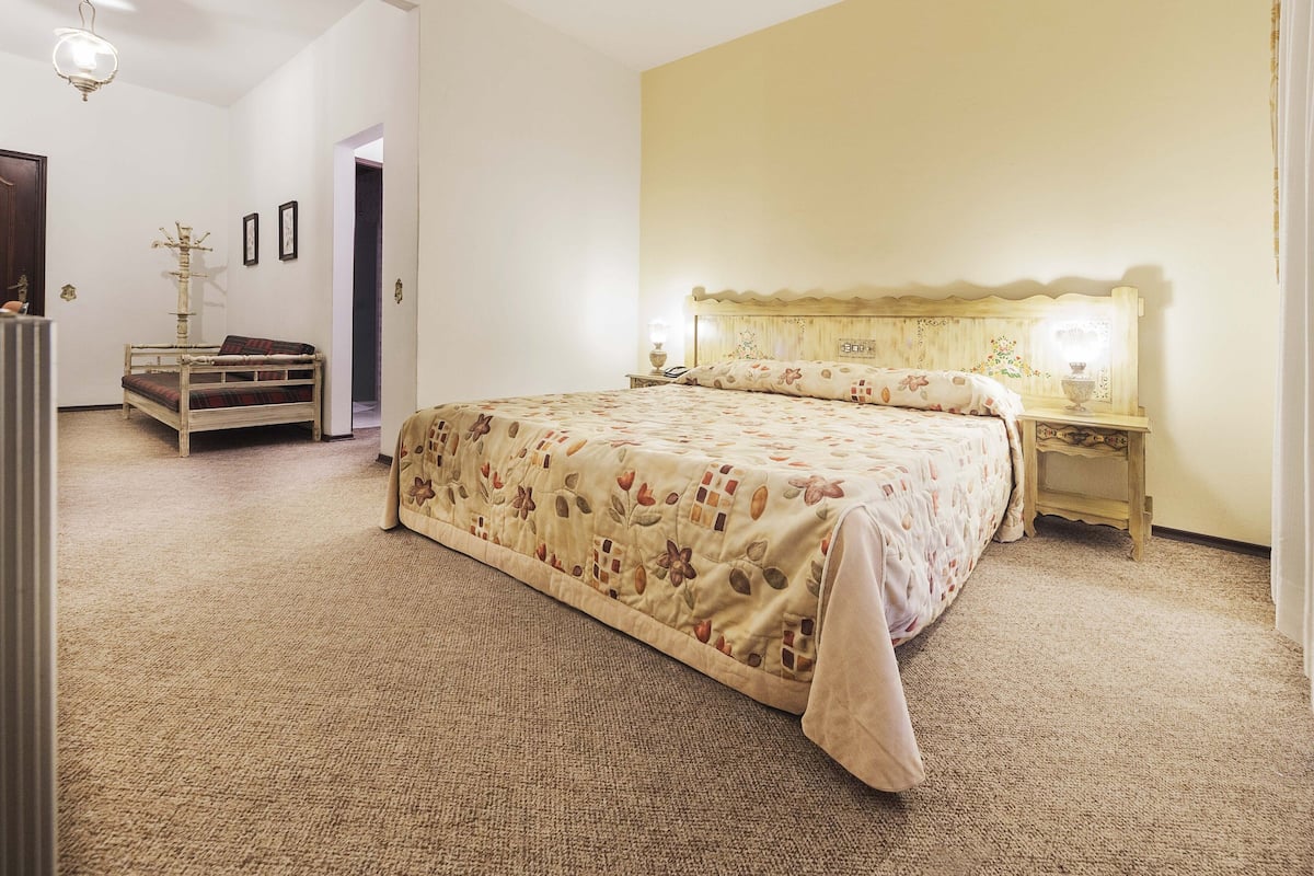 Standard Double Room, 1 King Bed | Minibar, blackout drapes, free WiFi, bed sheets