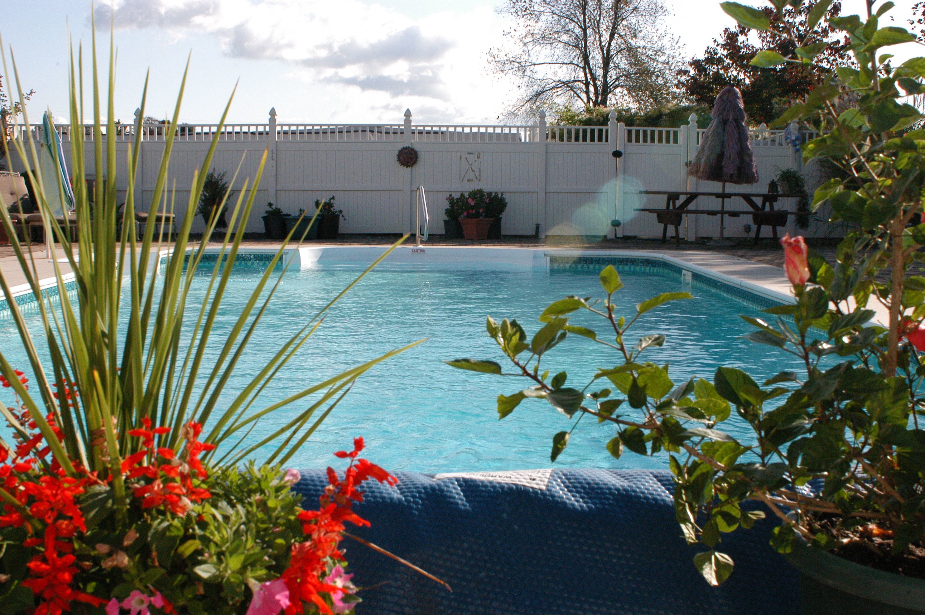 Una piscina rodeada de plantas y una cerca blanca.