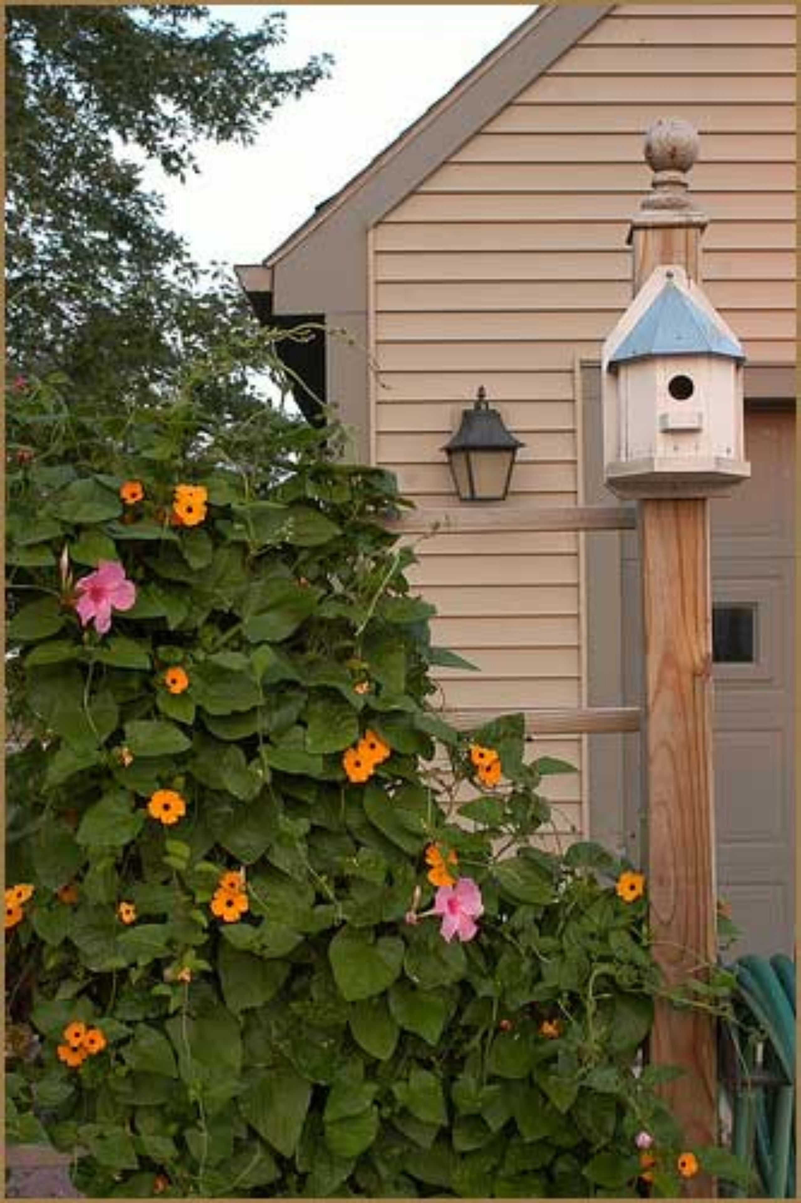 A wooden birdhouse attached to a post in front of a house with a light fixture on the wall.
