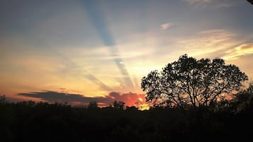 Ein Sonnenuntergang mit der Silhouette eines Baumes und einem klaren Himmel.
