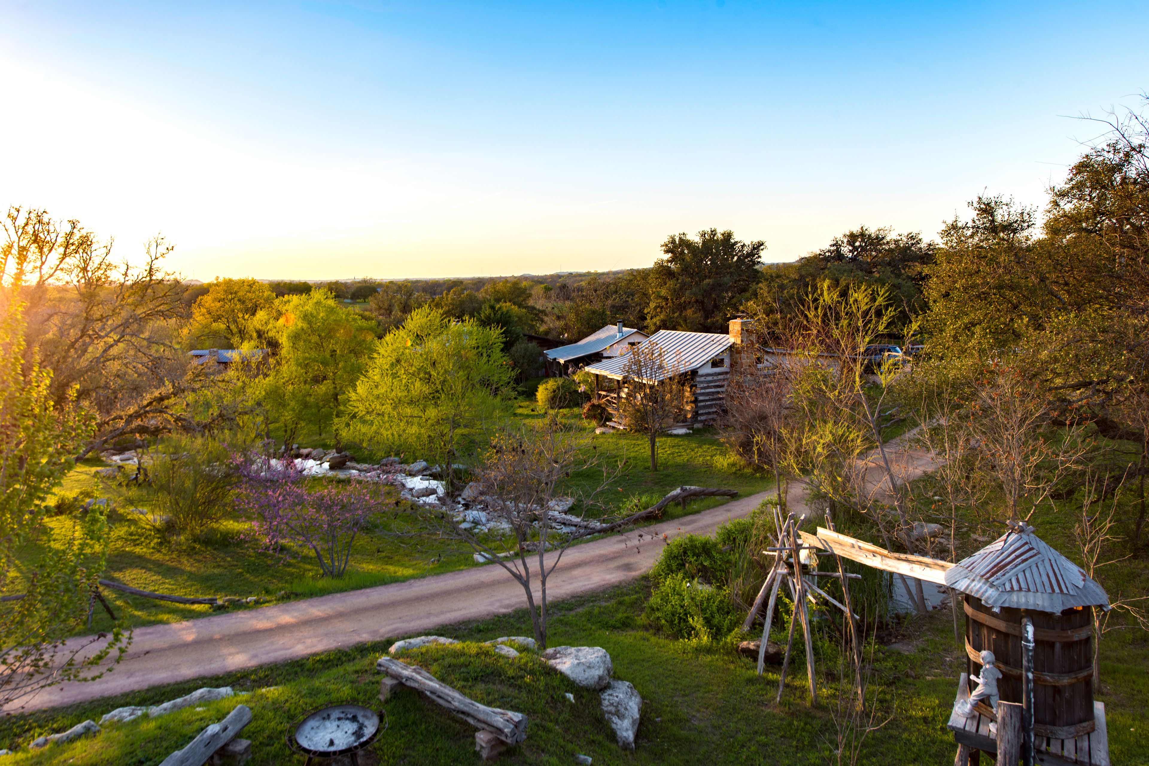 A rustic cabin with a metal roof, surrounded by lush greenery and a clear sky.