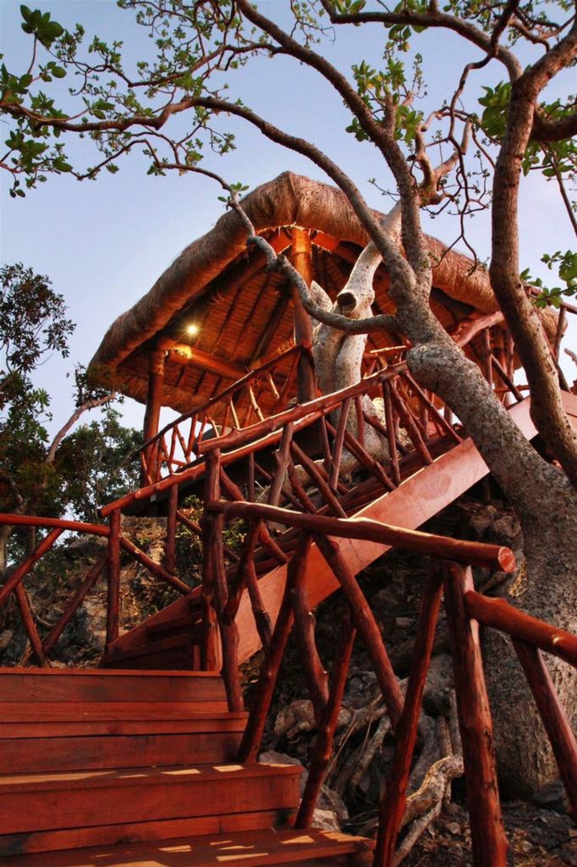 A rustic wooden structure with a thatched roof, surrounded by trees.