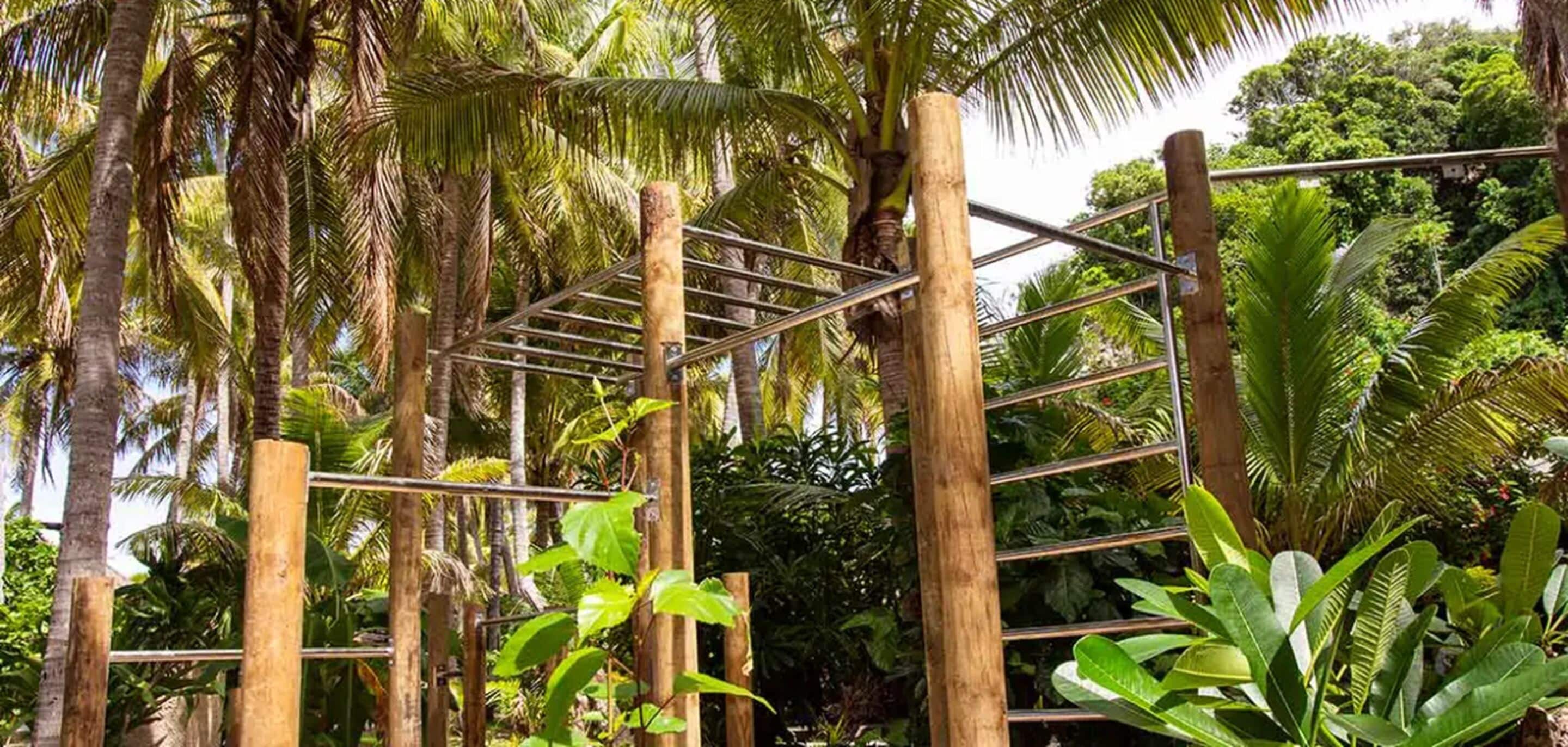 A wooden climbing structure amidst lush greenery.