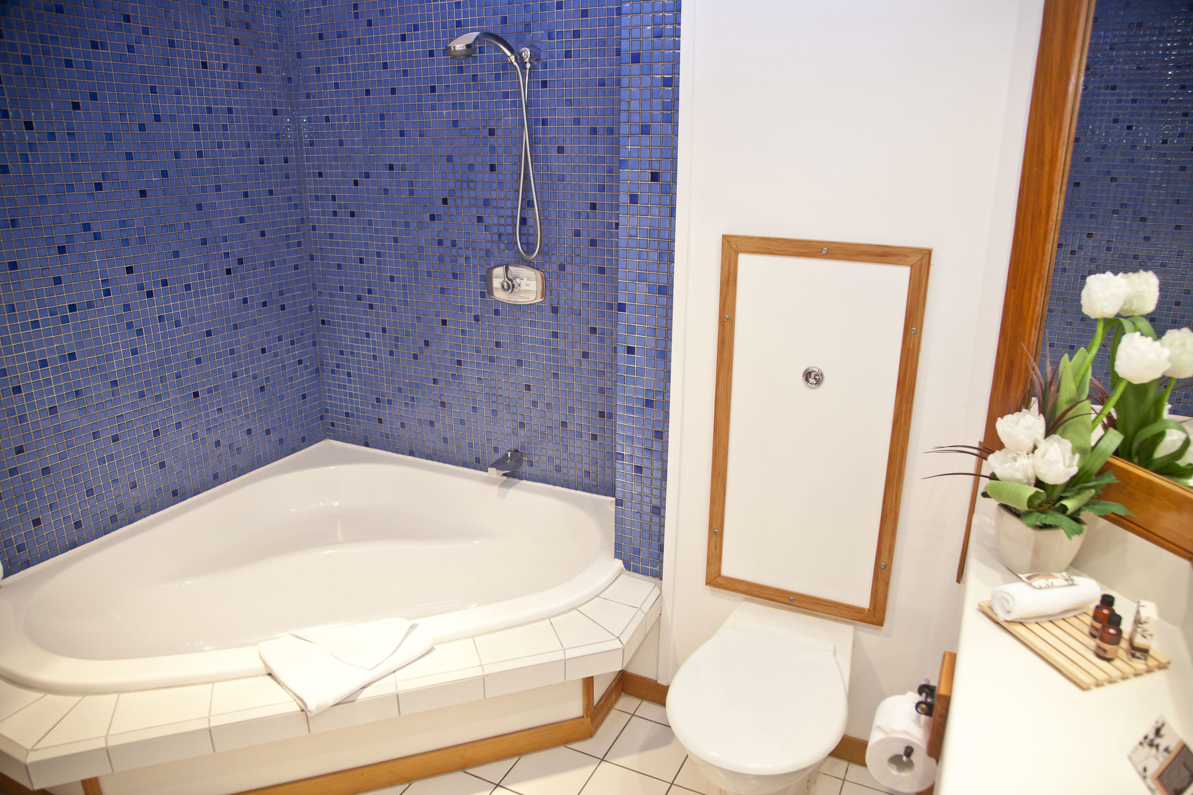 designer toiletries, hair dryer, towels