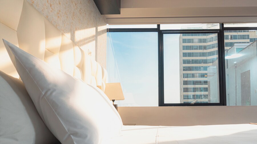 Hotel Ferre Miraflores