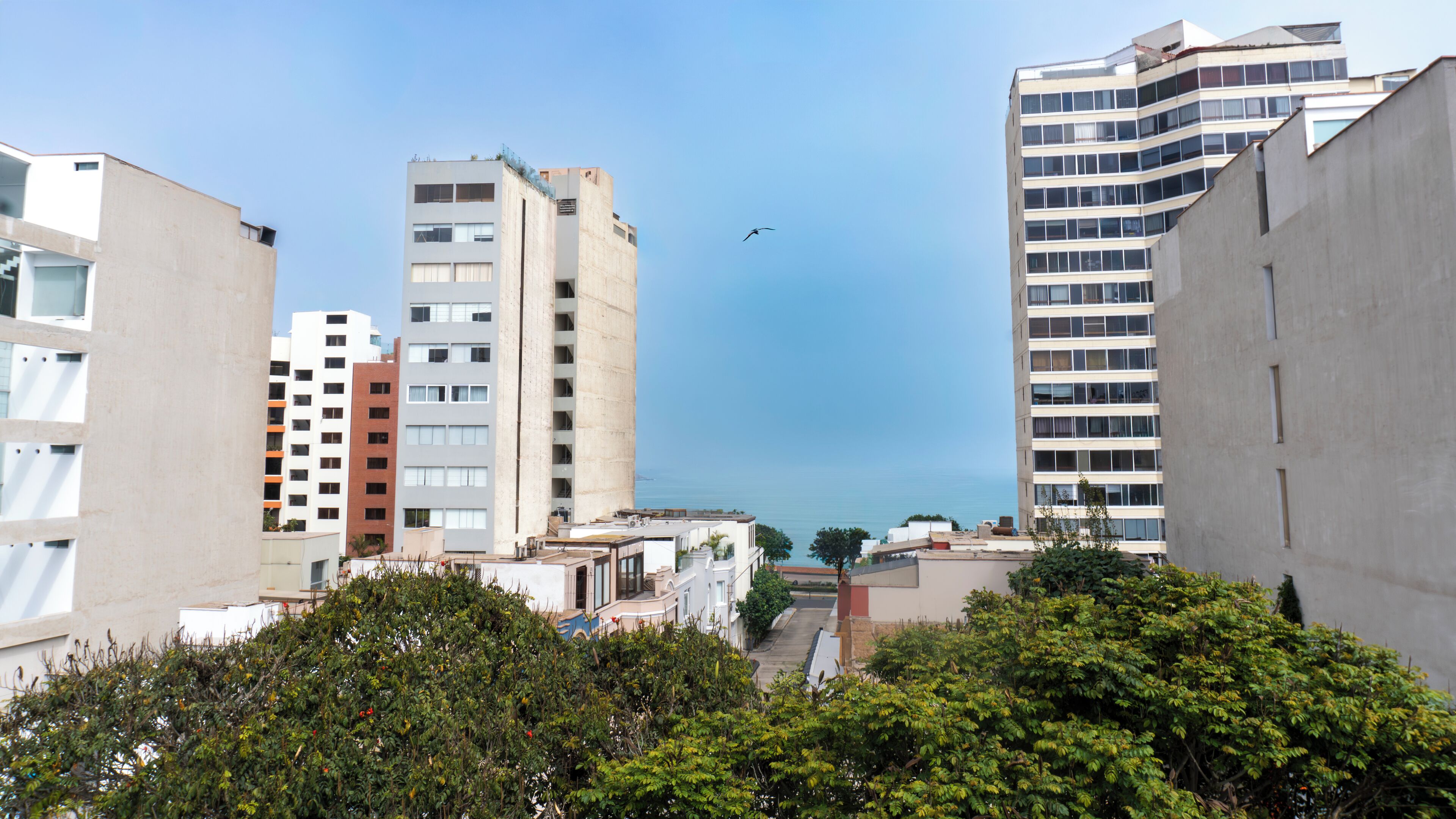 Photo - Hotel Ferré Miraflores