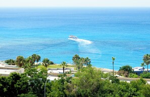 Single Room, Sea View
