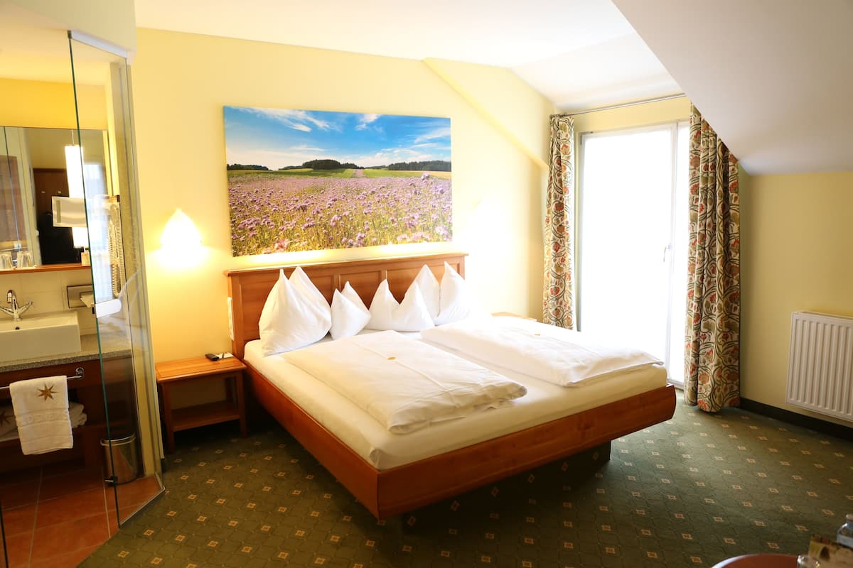 Chambre Standard | Vue de la chambre