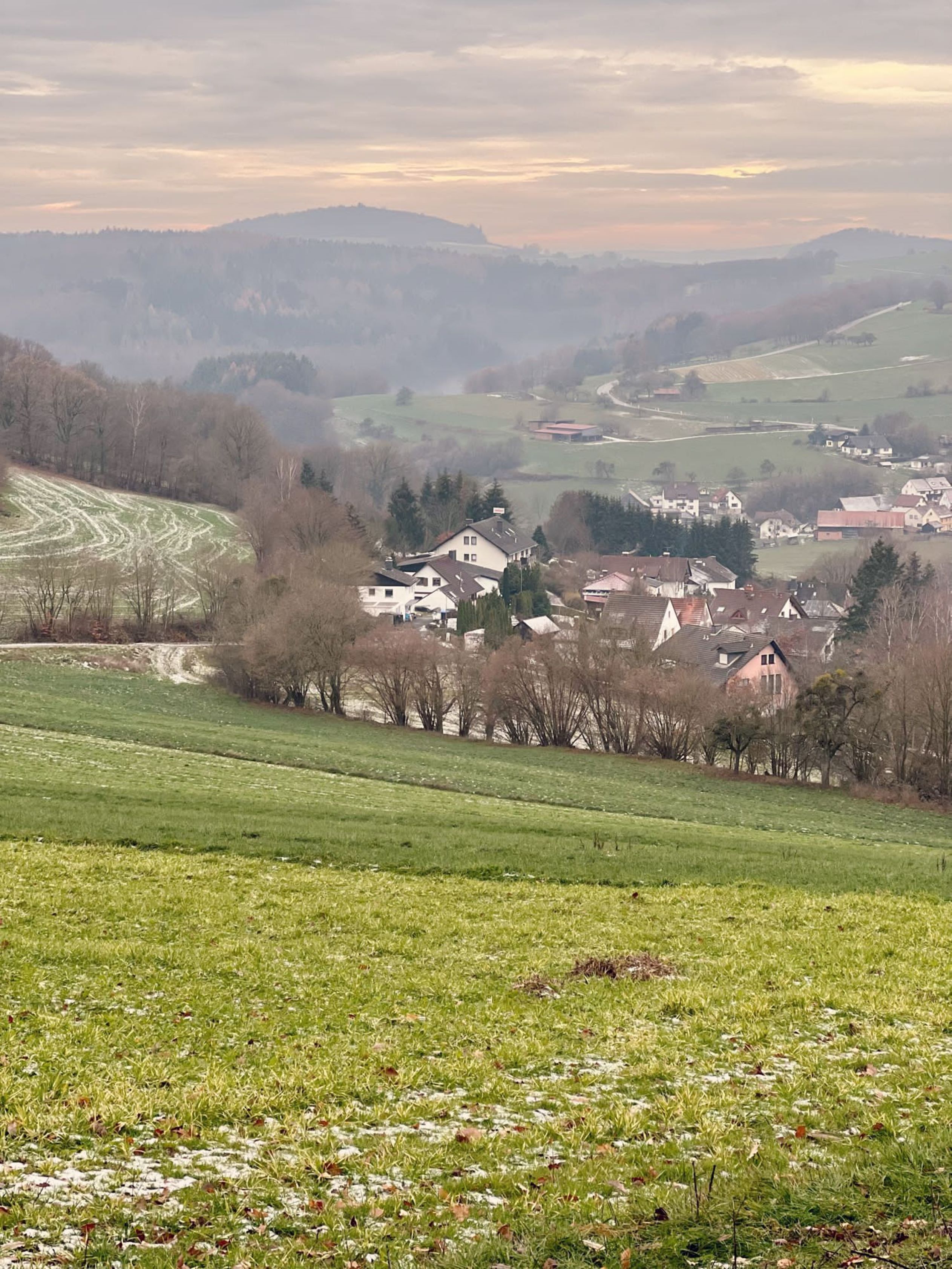 Un paysage rural avec un petit village, des maisons et des champs.