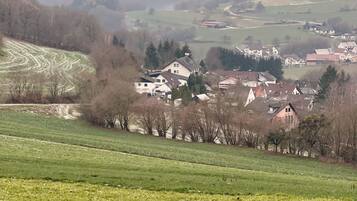 Un paysage rural avec un petit village, des maisons et des champs.