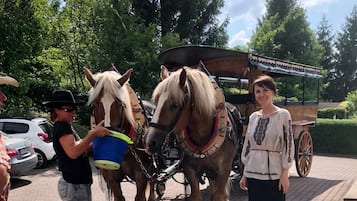 A horse-drawn carriage with two horses, a person holding a blue bucket, and another person standing beside the carriage.