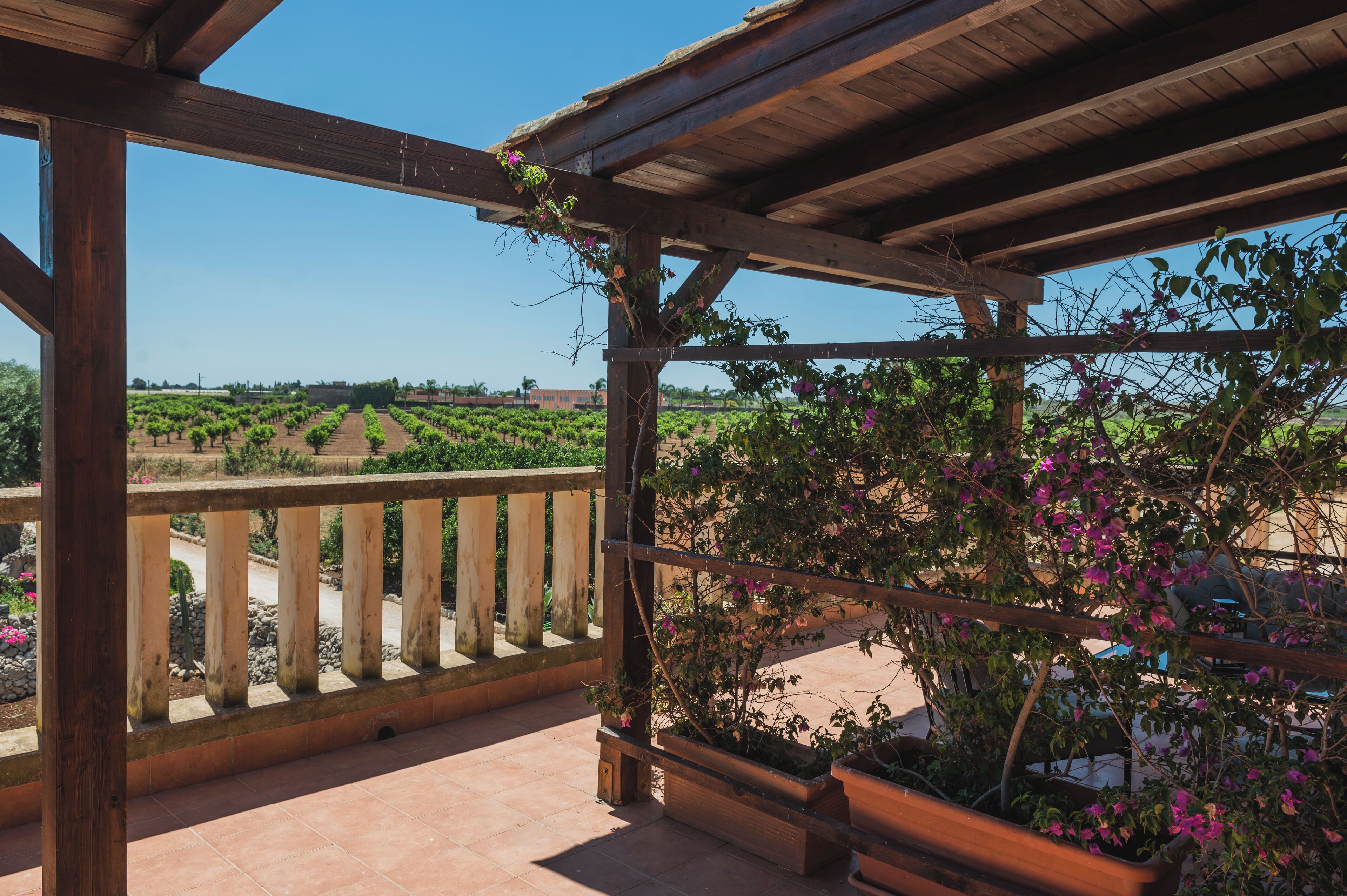 Una pérgola de madera con vistas a un viñedo.