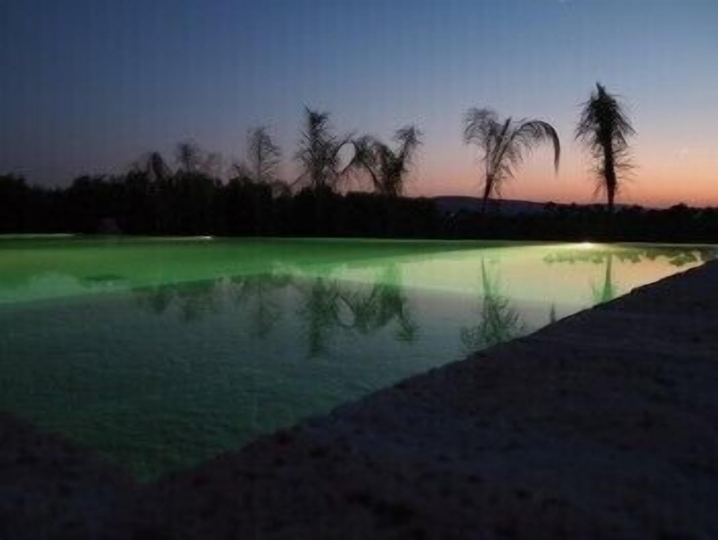 A nighttime view of a swimming pool with palm trees in the background.
