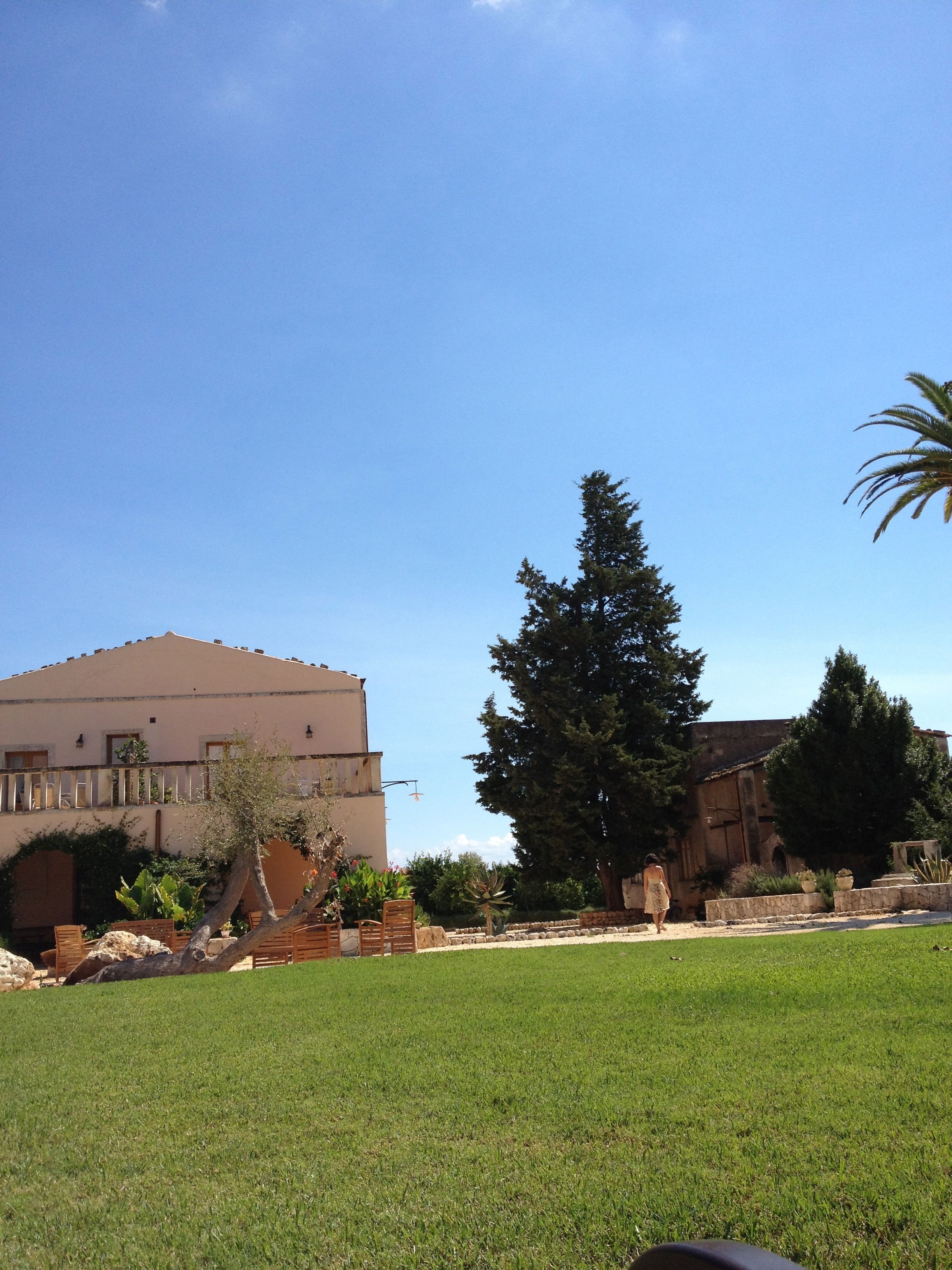 A building with a flat roof and a large tree in front.