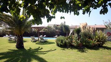 A poolside area with lounge chairs, a palm tree, and a small garden with various plants and flowers.