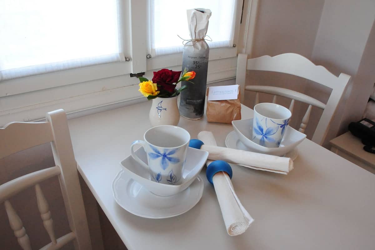 Standard Apartment, Ground Floor | Desk, soundproofing, iron/ironing board, free WiFi