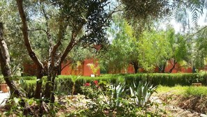 Garden - Sel D'ailleurs (Ouirgane)