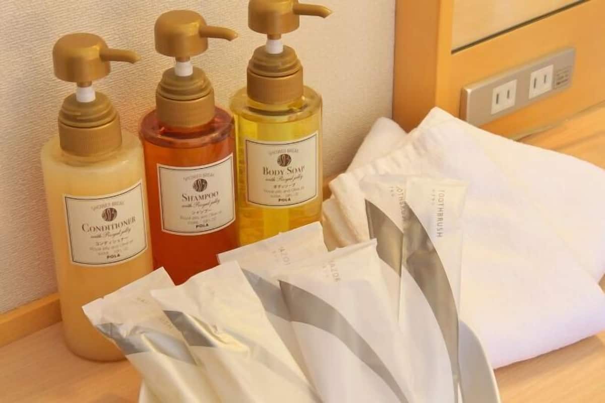 Combined shower/bathtub, free toiletries, hair dryer, slippers