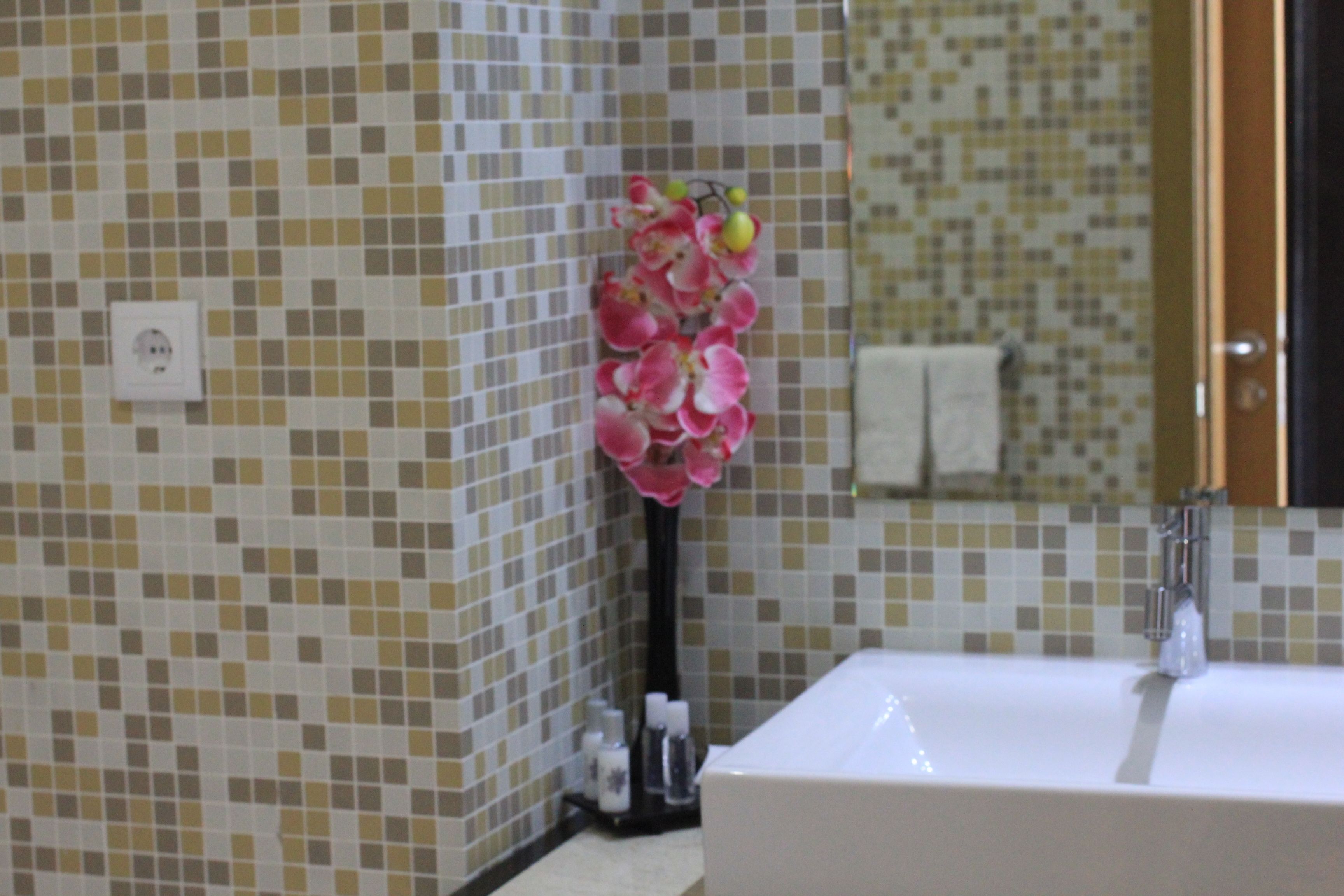 bathtub, spring water bathtub, free toiletries, hair dryer