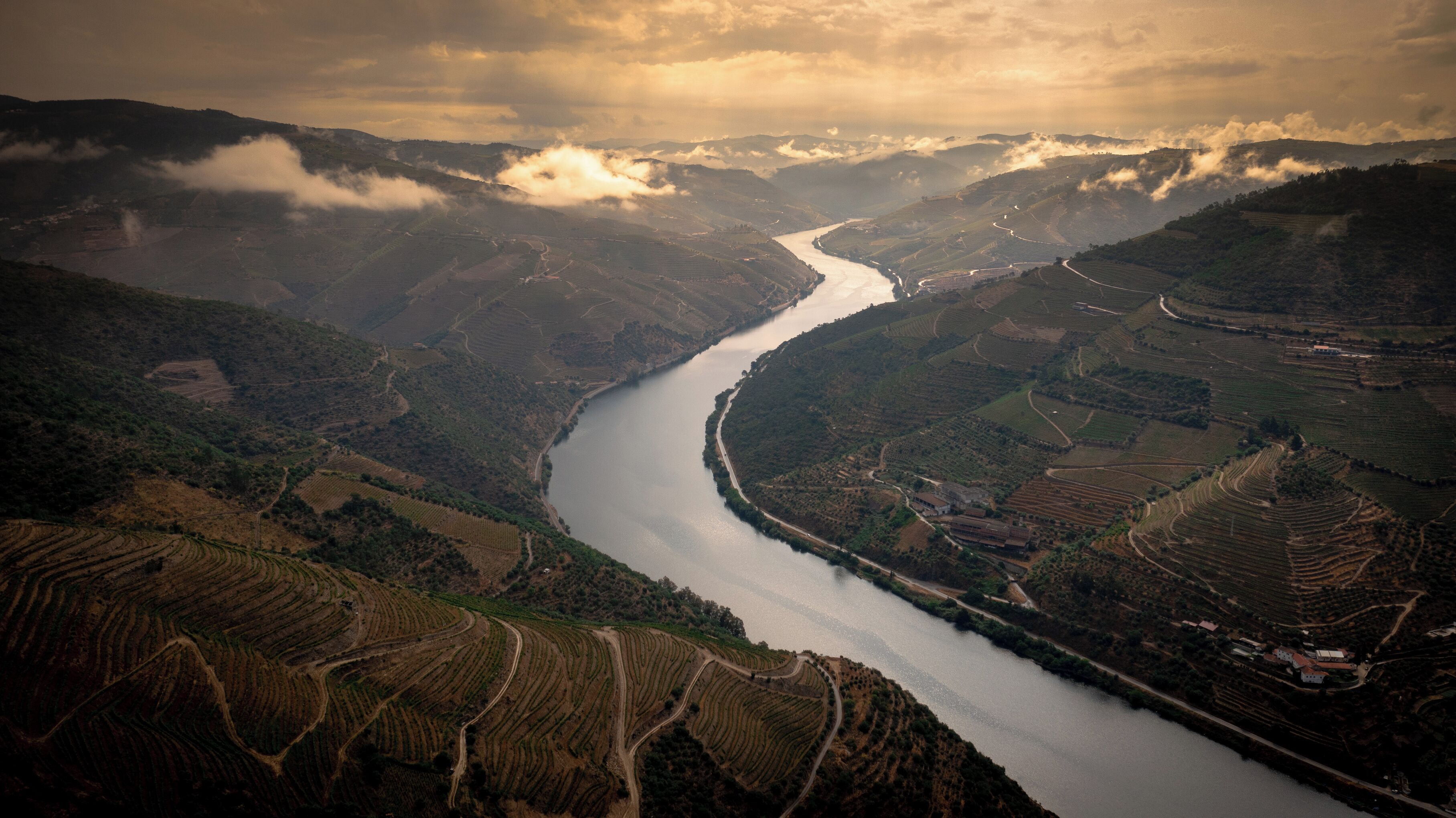 Photo - Hotel Folgosa Douro