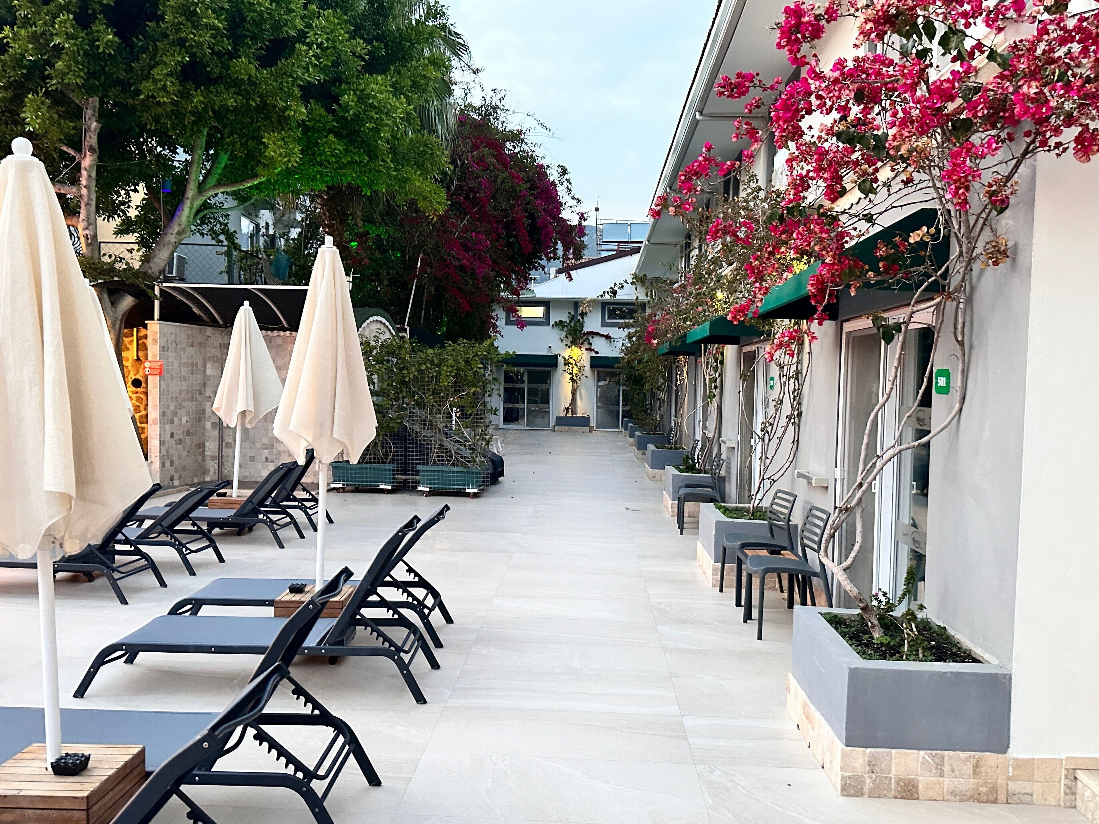 A corridor with outdoor seating, including lounge chairs and umbrellas, and a building with a modern design and flowering plants.