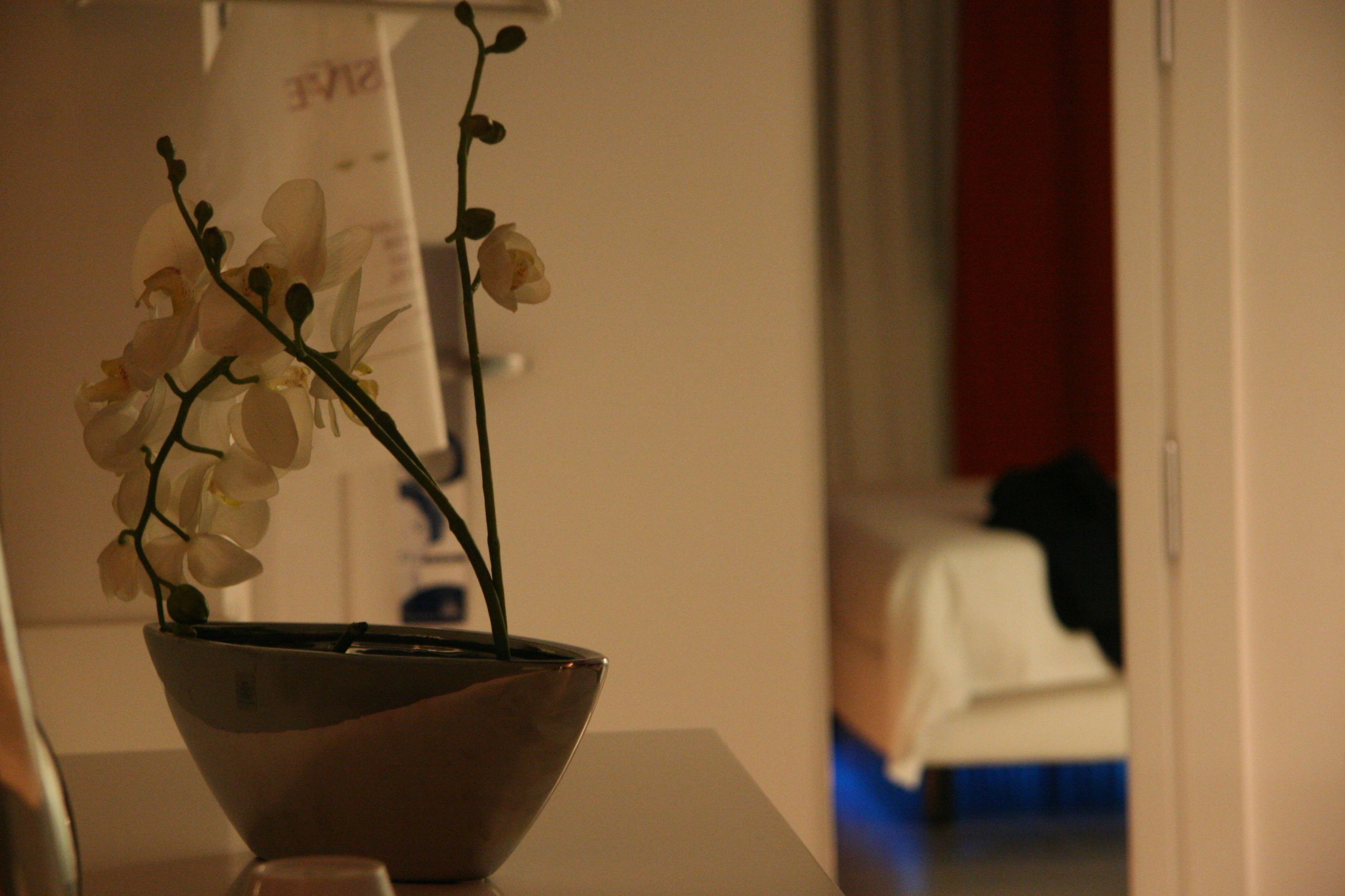 classic room, 1 king bed | 1 bedroom, premium bedding, down duvets, minibar