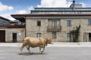 Fachada del alojamiento