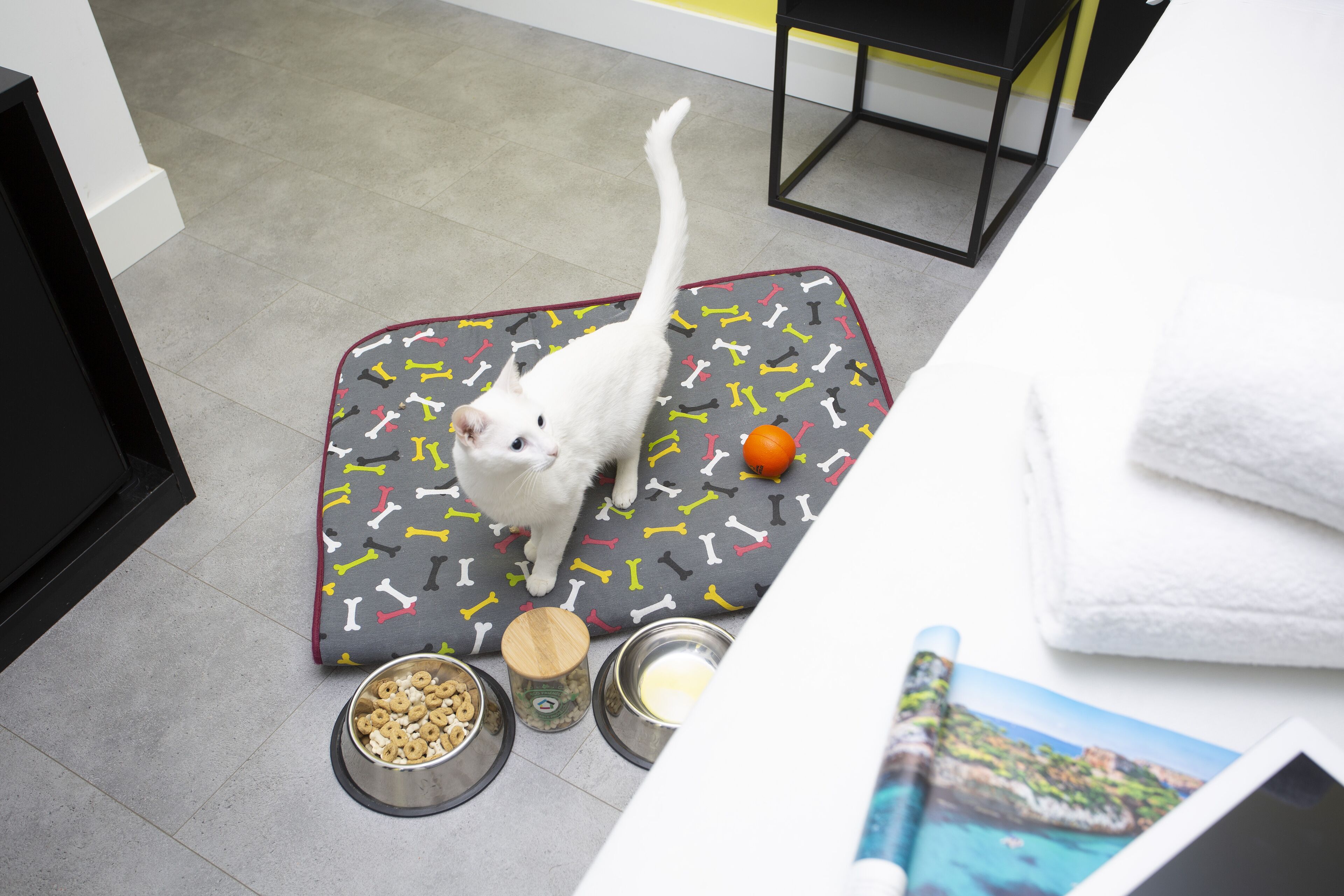 Un gato blanco sobre un tapete con estampado de huesos, comederos y un juguete.