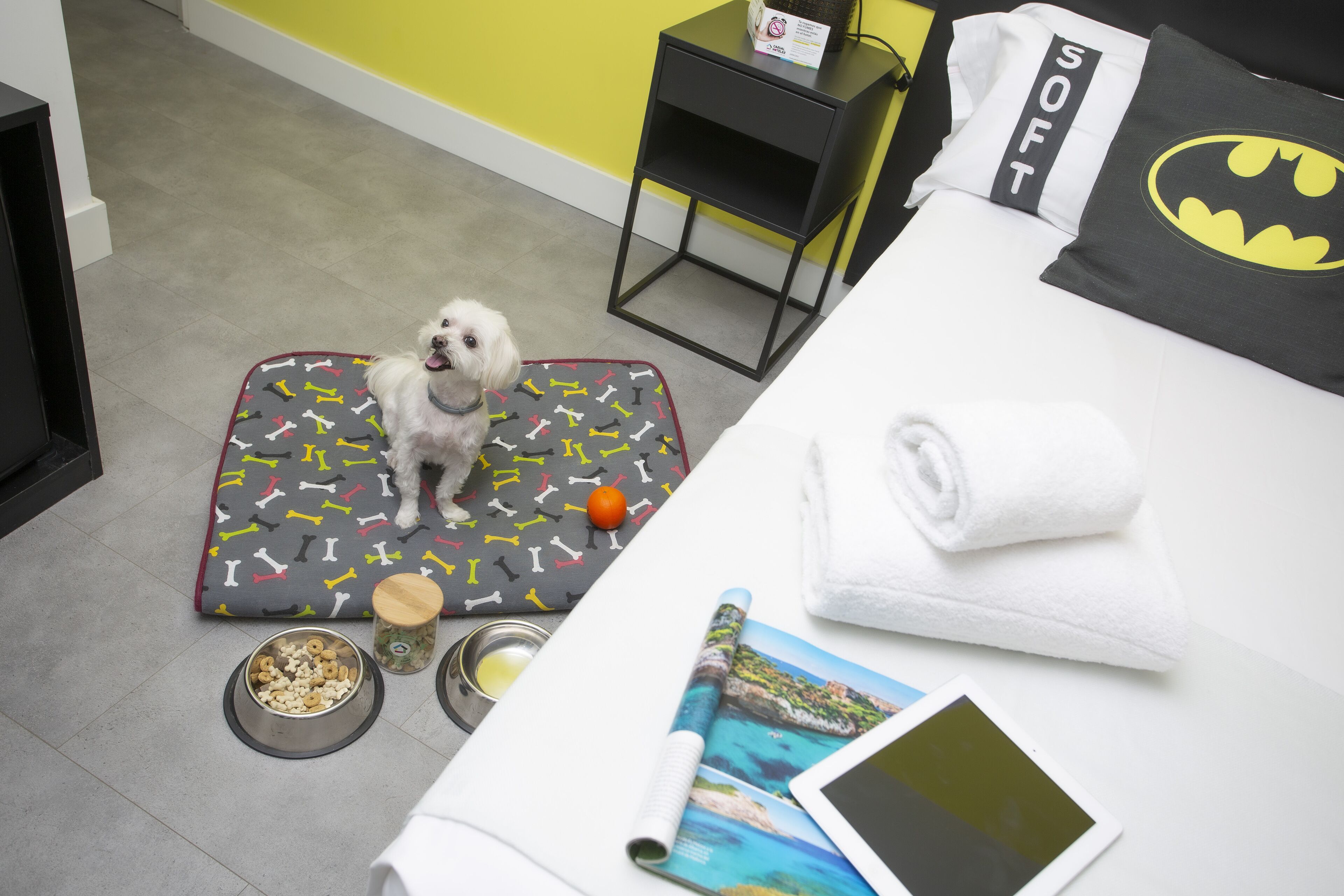 Una cama para mascotas con estampado de huesos, un tazón pequeño de comida para perro, un tazón de agua y una revista enrollada sobre una cama con un almohadón de Batman y una toalla blanca doblada.
