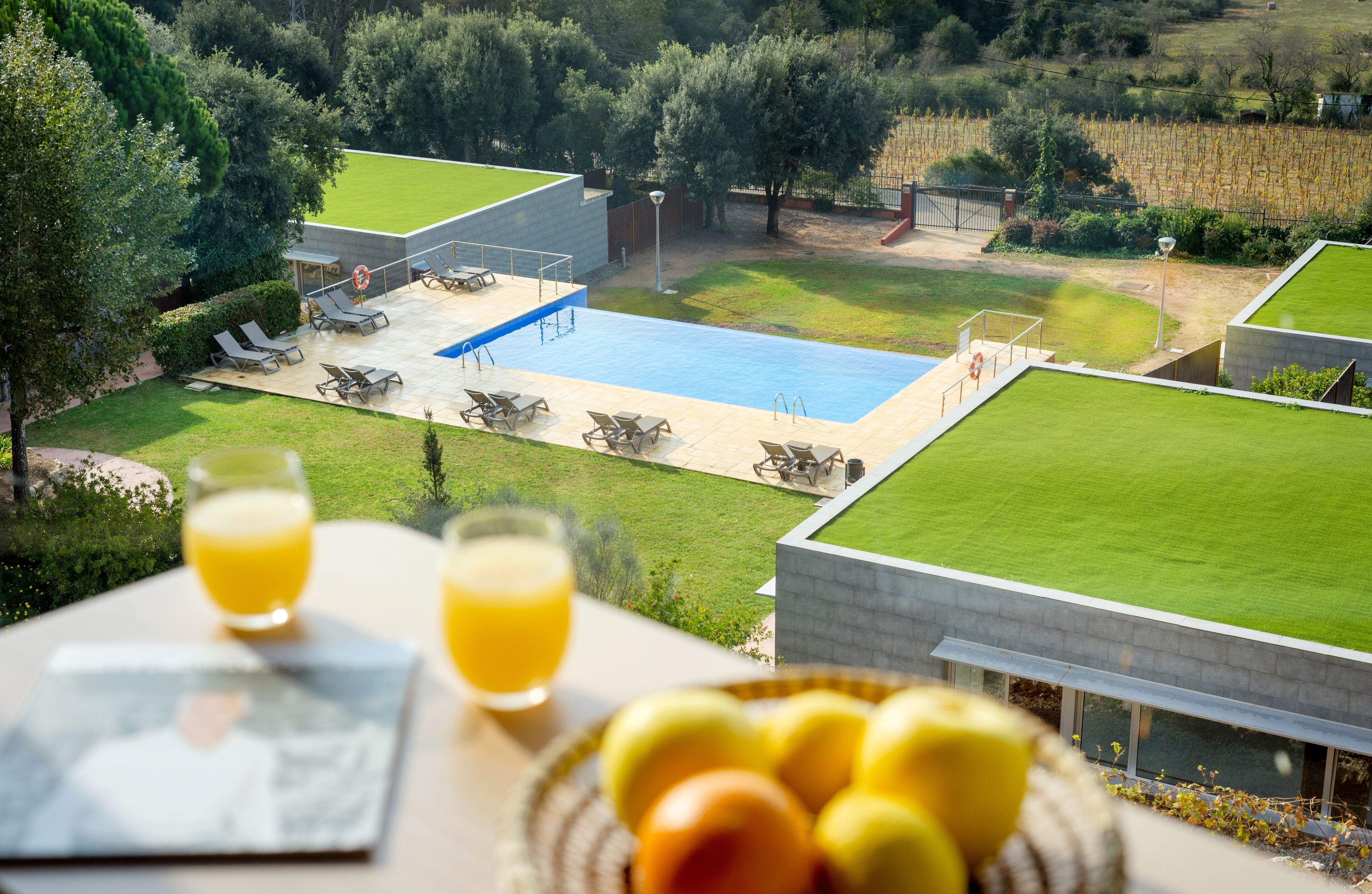 Un área de piscina con sillones de descanso, una mesa con bebidas y una cesta de fruta.