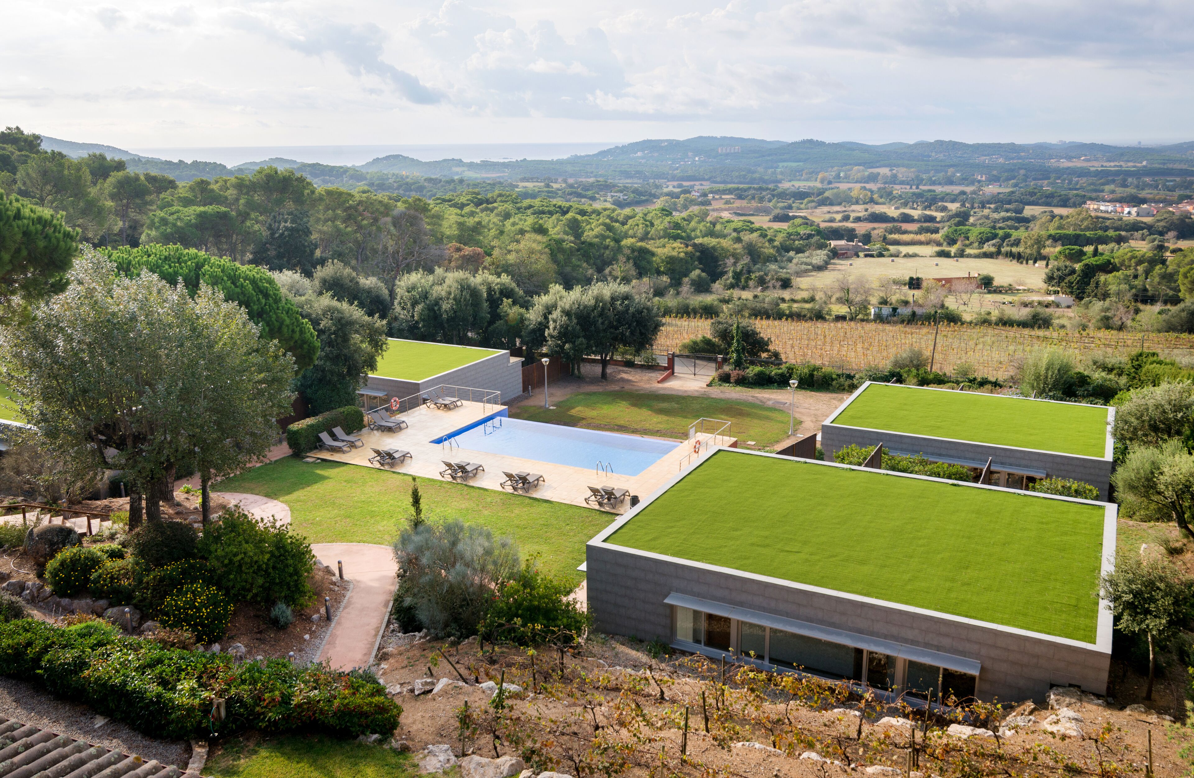 A modern villa with a swimming pool, green roofs, and a vineyard in the background.