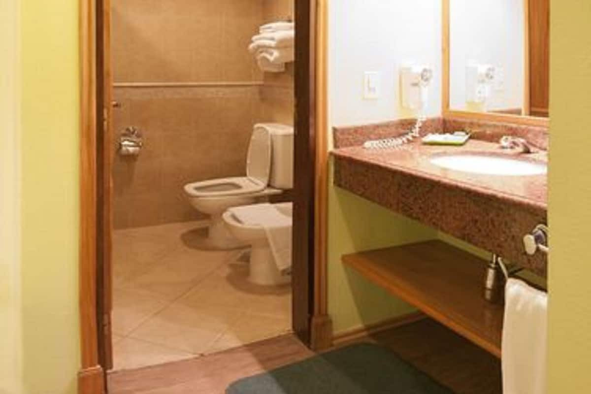 Combined shower/tub, designer toiletries, hair dryer, bidet