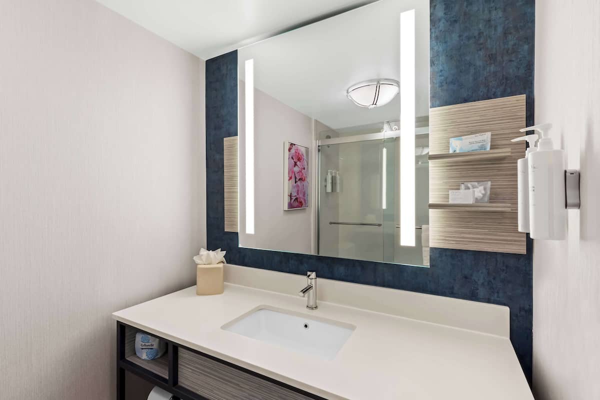 combined shower/bathtub, designer toiletries, hair dryer, towels