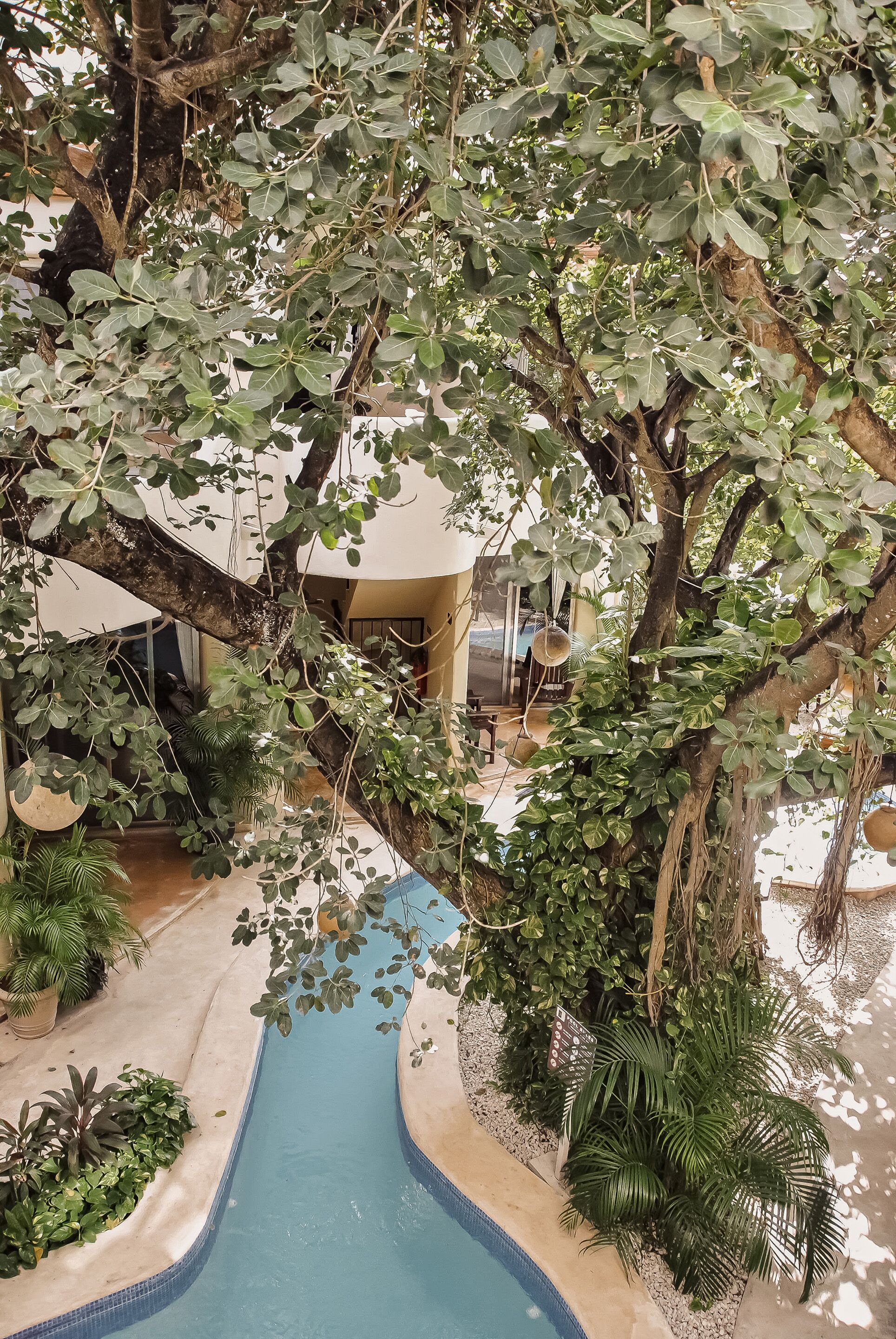 Foto - Boutique Hotel Posada 06 Tulum