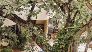 Zona de piscina amb vegetació al voltant i un edifici al fons.