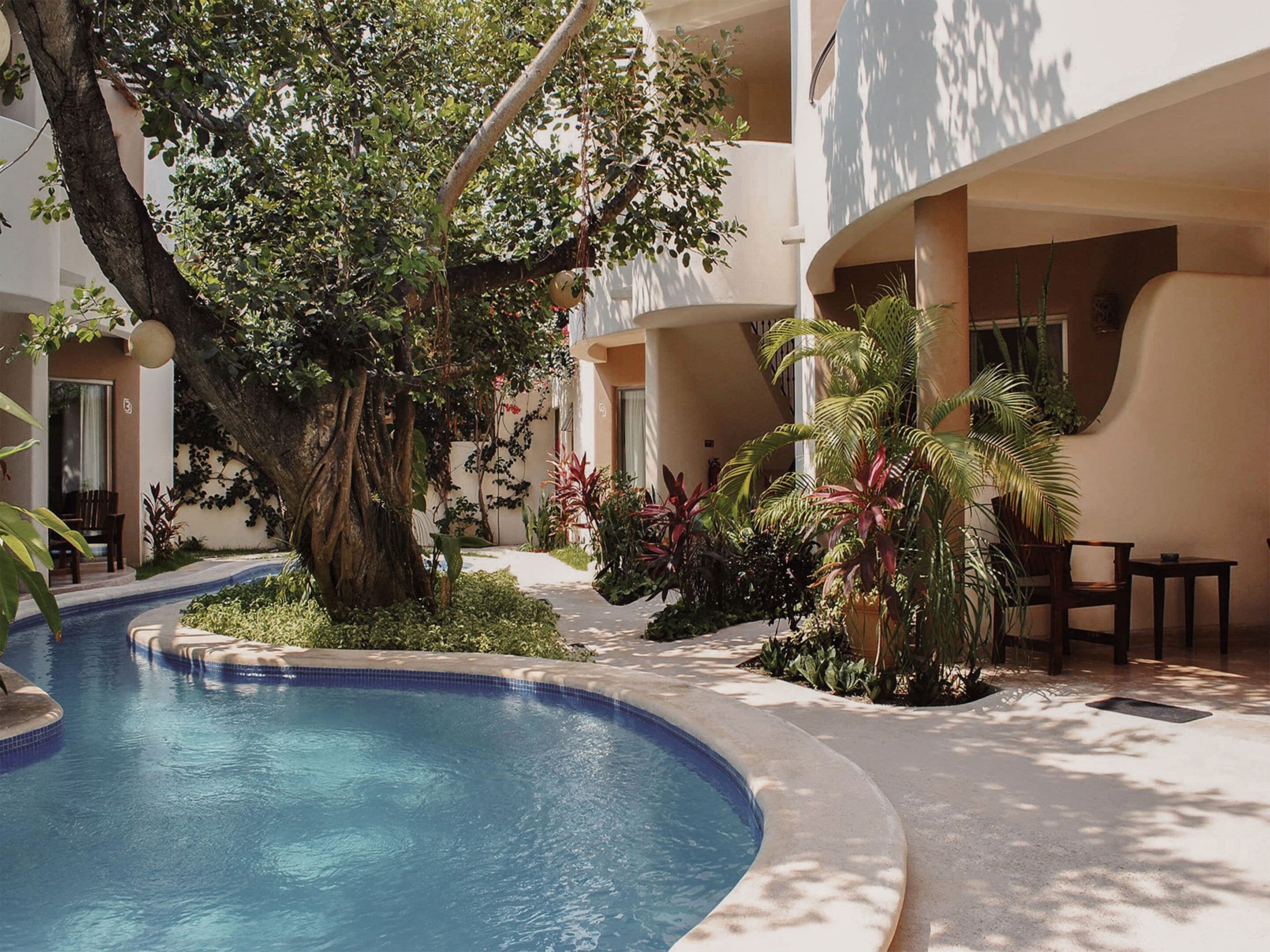 Zona de piscina con un árbol y diversas plantas, rodeada por un edificio de fachada curva.