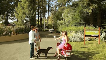 Fachada da propriedade