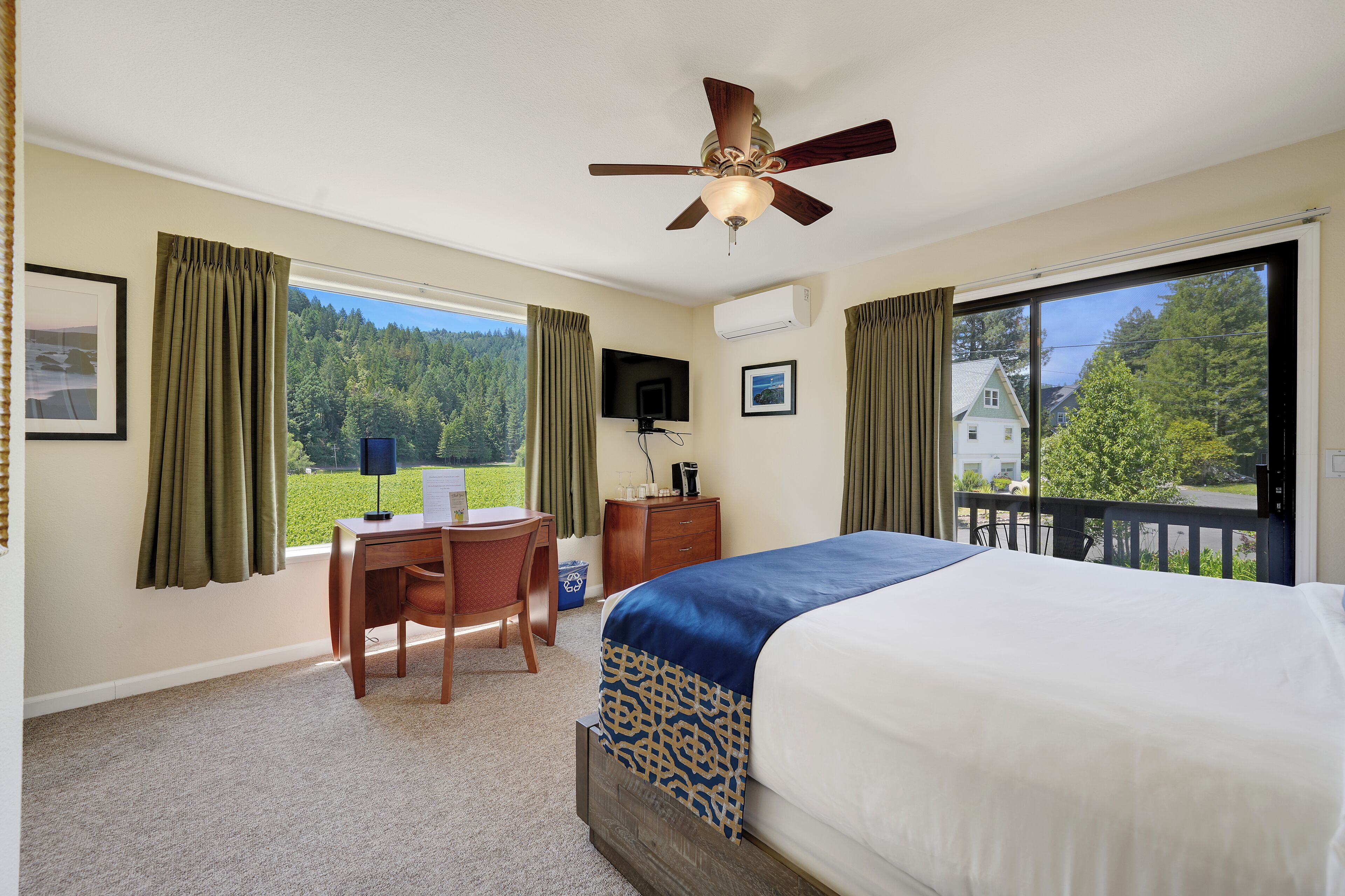 Standard Room, 1 Queen Bed (Vineyard) | View from room